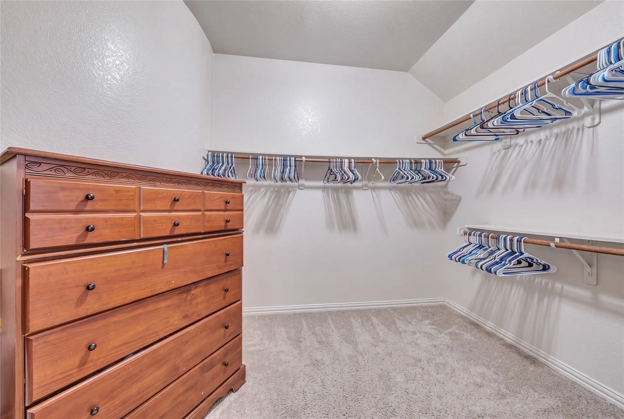 Walk-in closet featuring carpet flooring, white walls, multiple hanging rods, and built-in shelving