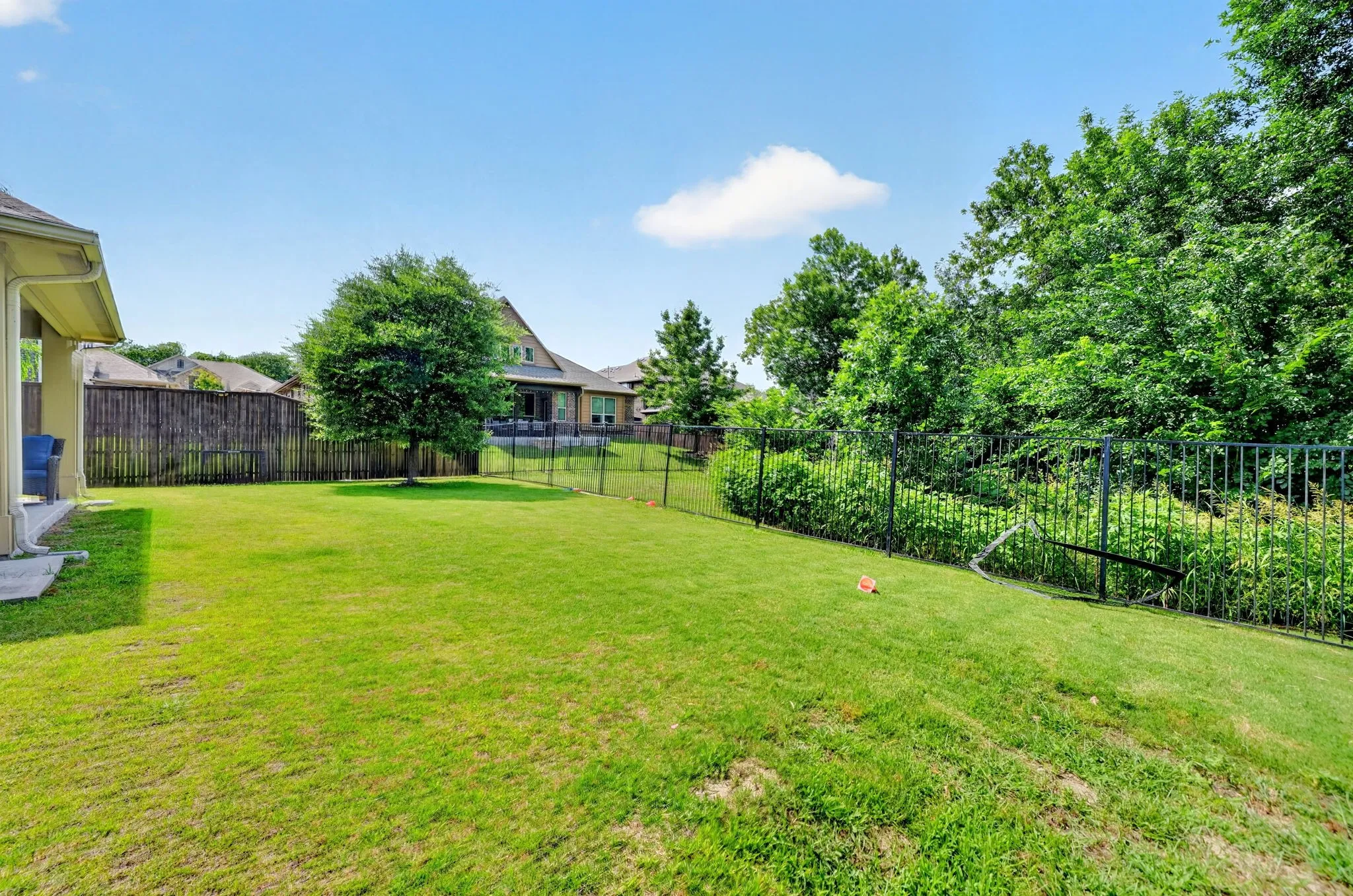 Expansive green lawn with a mature tree, bordered by a wooden privacy fence, black metal fencing, and dense natural foliage
