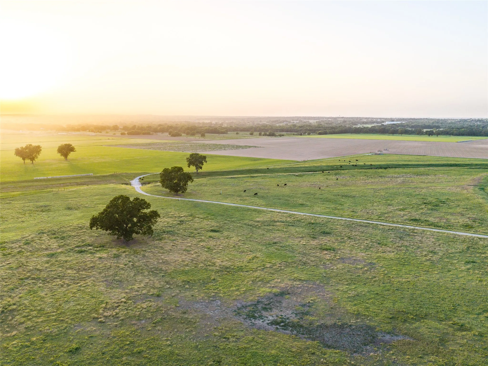 Ranch For Sale in Wise County , TBD FM 51, Paradise, Texas 76073, 0, 0, Garage spaces, 0 Sqft, built in 0, mls#21335307, Real Estate Agent in Paradise, Homes For Sale in Wise county, Homes For Sale in Paradise, Realtor in Paradise Texas, Real Estate Brokerage Independent Realty Texas, Luminita Cordes Realtor