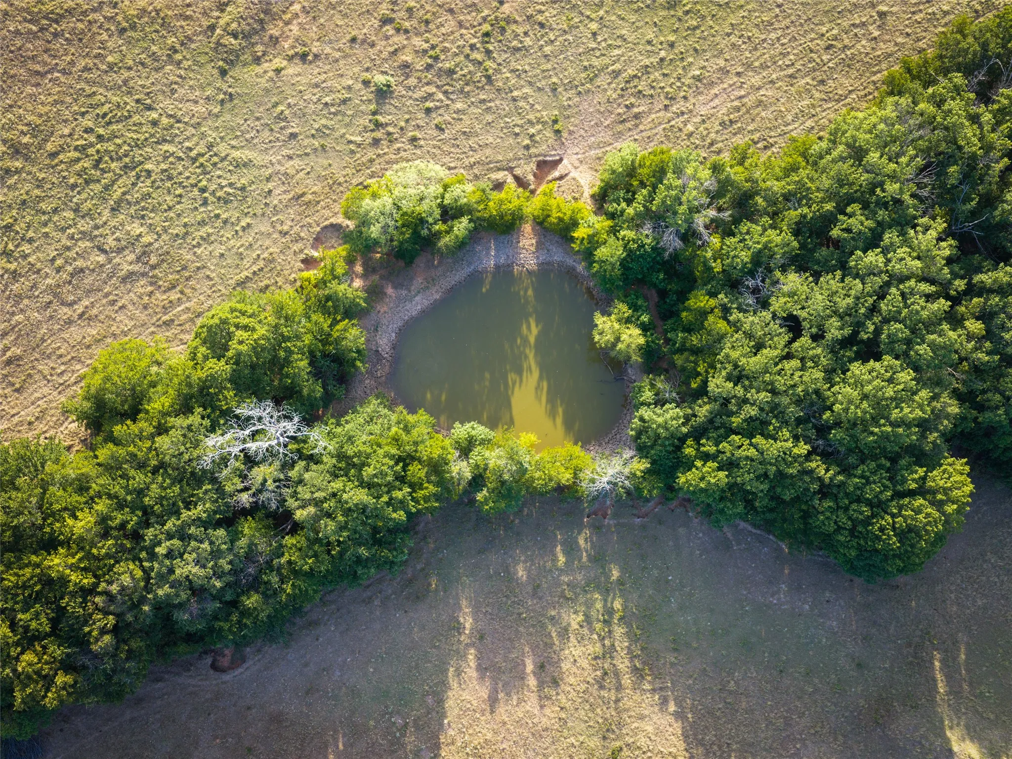 Ranch For Sale in Wise County , TBD FM 51, Paradise, Texas 76073, 0, 0, Garage spaces, 0 Sqft, built in 0, mls#21335307, Real Estate Agent in Paradise, Homes For Sale in Wise county, Homes For Sale in Paradise, Realtor in Paradise Texas, Real Estate Brokerage Independent Realty Texas, Luminita Cordes Realtor