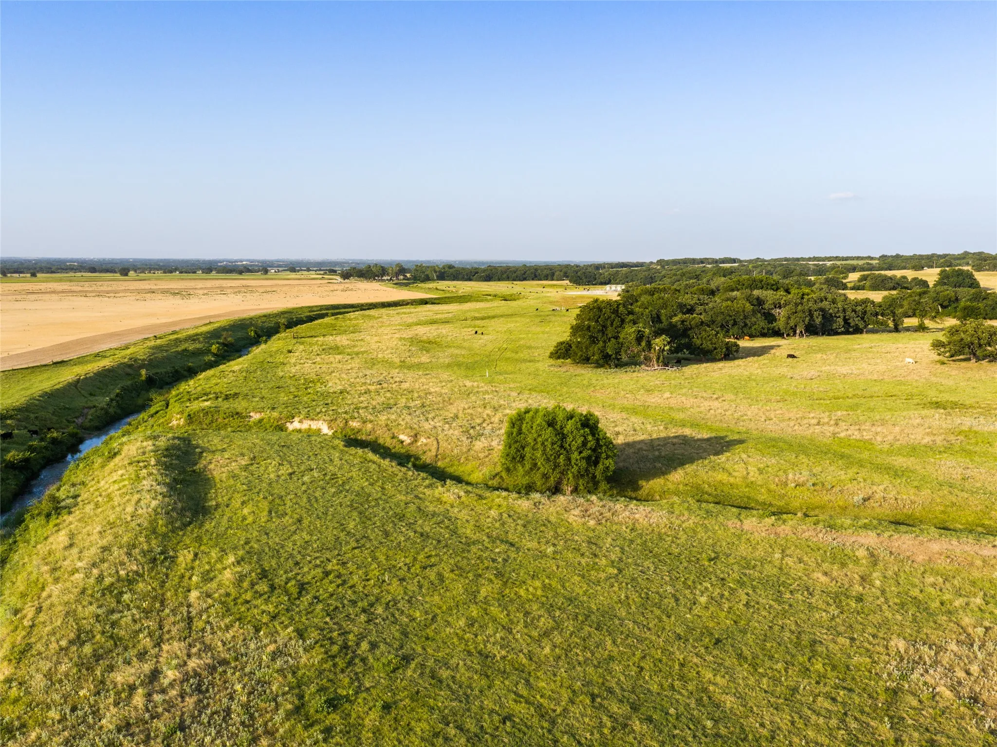 Ranch For Sale in Wise County , TBD FM 51, Paradise, Texas 76073, 0, 0, Garage spaces, 0 Sqft, built in 0, mls#21335307, Real Estate Agent in Paradise, Homes For Sale in Wise county, Homes For Sale in Paradise, Realtor in Paradise Texas, Real Estate Brokerage Independent Realty Texas, Luminita Cordes Realtor