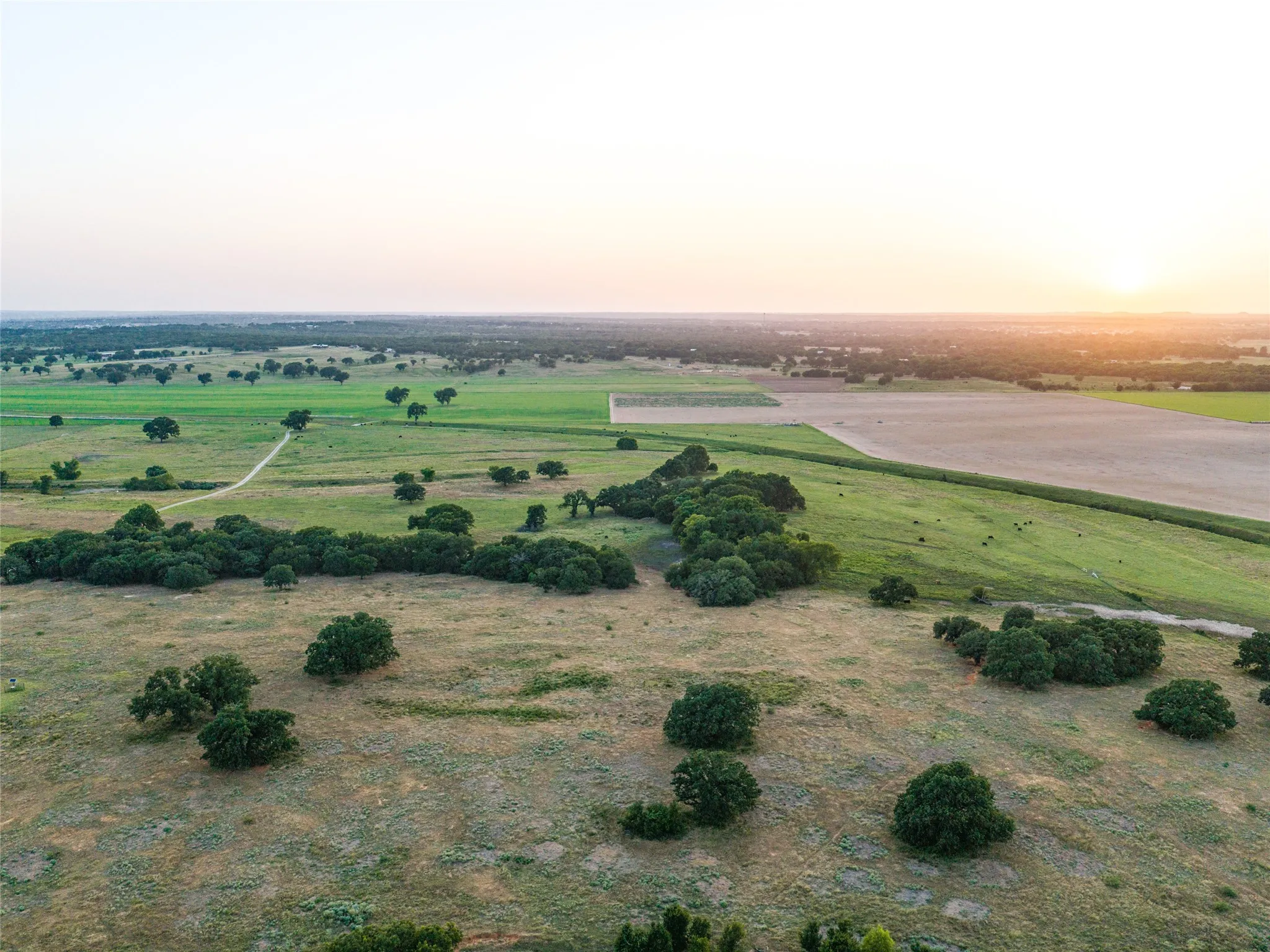 Ranch For Sale in Wise County , TBD FM 51, Paradise, Texas 76073, 0, 0, Garage spaces, 0 Sqft, built in 0, mls#21335307, Real Estate Agent in Paradise, Homes For Sale in Wise county, Homes For Sale in Paradise, Realtor in Paradise Texas, Real Estate Brokerage Independent Realty Texas, Luminita Cordes Realtor