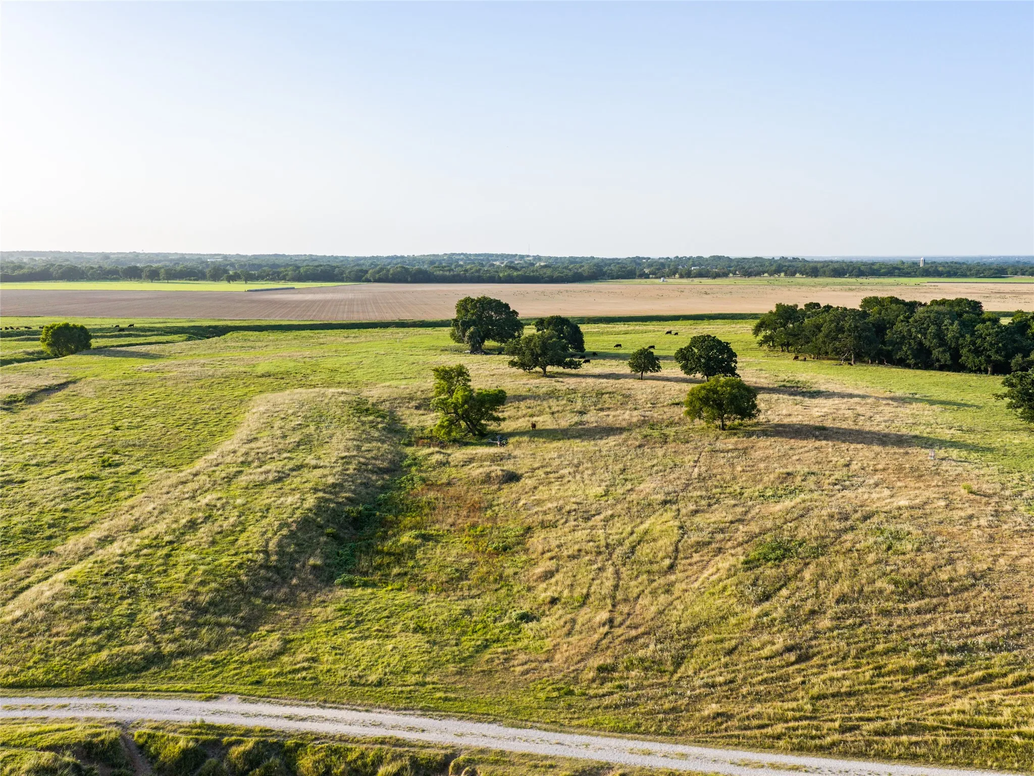 Ranch For Sale in Wise County , TBD FM 51, Paradise, Texas 76073, 0, 0, Garage spaces, 0 Sqft, built in 0, mls#21335307, Real Estate Agent in Paradise, Homes For Sale in Wise county, Homes For Sale in Paradise, Realtor in Paradise Texas, Real Estate Brokerage Independent Realty Texas, Luminita Cordes Realtor