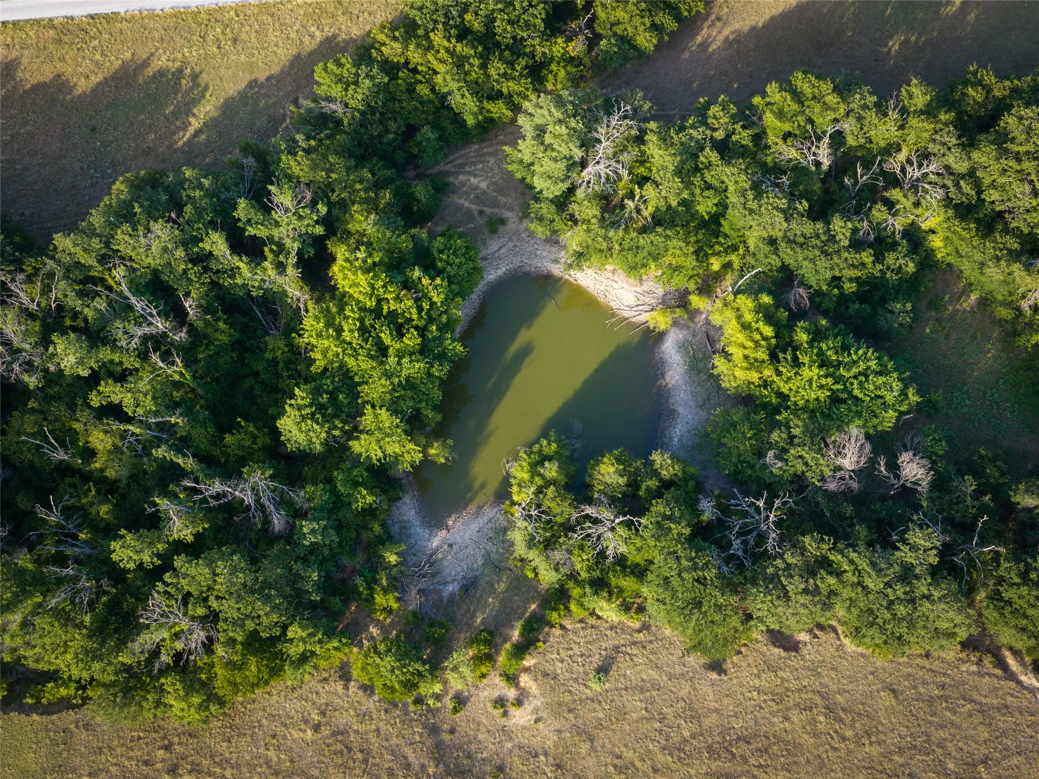 Ranch For Sale in Wise County , TBD FM 51, Paradise, Texas 76073, 0, 0, Garage spaces, 0 Sqft, built in 0, mls#21335307, Real Estate Agent in Paradise, Homes For Sale in Wise county, Homes For Sale in Paradise, Realtor in Paradise Texas, Real Estate Brokerage Independent Realty Texas, Luminita Cordes Realtor
