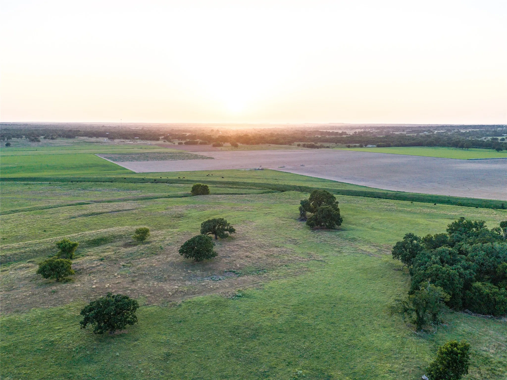Ranch For Sale in Wise County , TBD FM 51, Paradise, Texas 76073, 0, 0, Garage spaces, 0 Sqft, built in 0, mls#21335307, Real Estate Agent in Paradise, Homes For Sale in Wise county, Homes For Sale in Paradise, Realtor in Paradise Texas, Real Estate Brokerage Independent Realty Texas, Luminita Cordes Realtor
