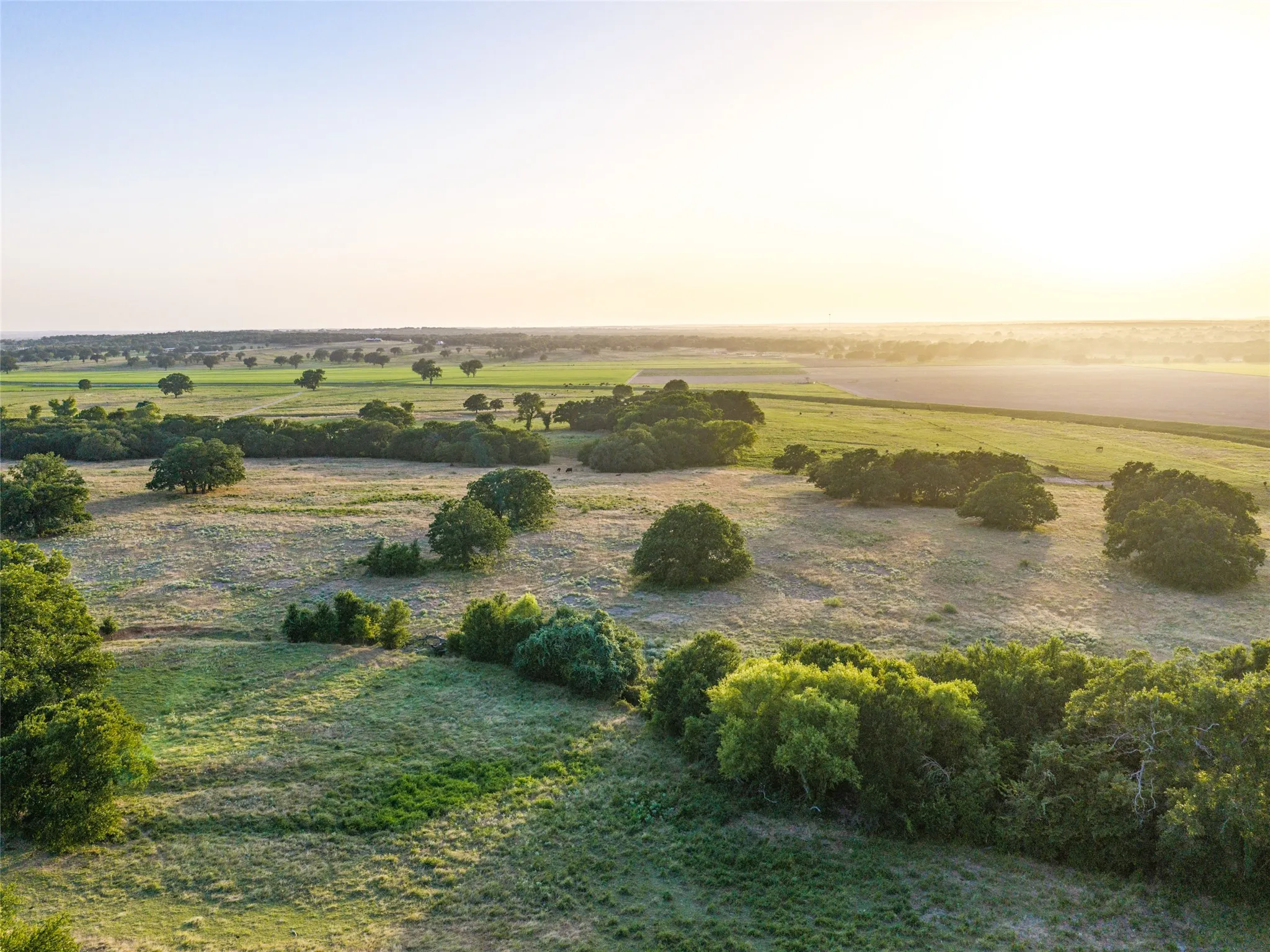 Ranch For Sale in Wise County , TBD FM 51, Paradise, Texas 76073, 0, 0, Garage spaces, 0 Sqft, built in 0, mls#21335307, Real Estate Agent in Paradise, Homes For Sale in Wise county, Homes For Sale in Paradise, Realtor in Paradise Texas, Real Estate Brokerage Independent Realty Texas, Luminita Cordes Realtor