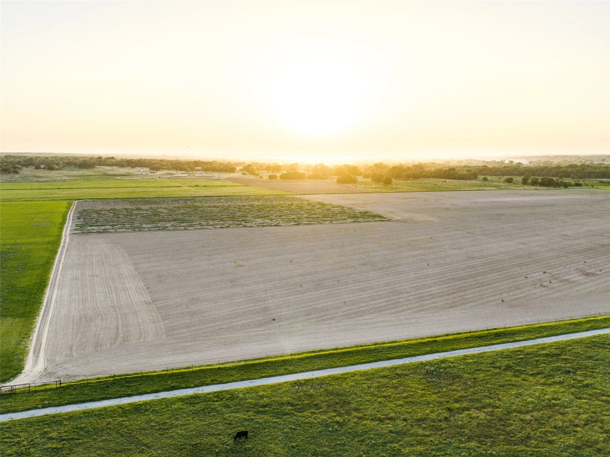Ranch For Sale in Wise County , TBD FM 51, Paradise, Texas 76073, 0, 0, Garage spaces, 0 Sqft, built in 0, mls#21335307, Real Estate Agent in Paradise, Homes For Sale in Wise county, Homes For Sale in Paradise, Realtor in Paradise Texas, Real Estate Brokerage Independent Realty Texas, Luminita Cordes Realtor