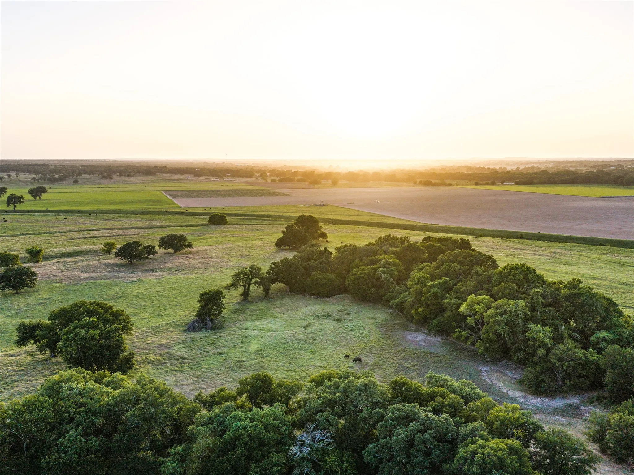 Ranch For Sale in Wise County , TBD FM 51, Paradise, Texas 76073, 0, 0, Garage spaces, 0 Sqft, built in 0, mls#21335307, Real Estate Agent in Paradise, Homes For Sale in Wise county, Homes For Sale in Paradise, Realtor in Paradise Texas, Real Estate Brokerage Independent Realty Texas, Luminita Cordes Realtor
