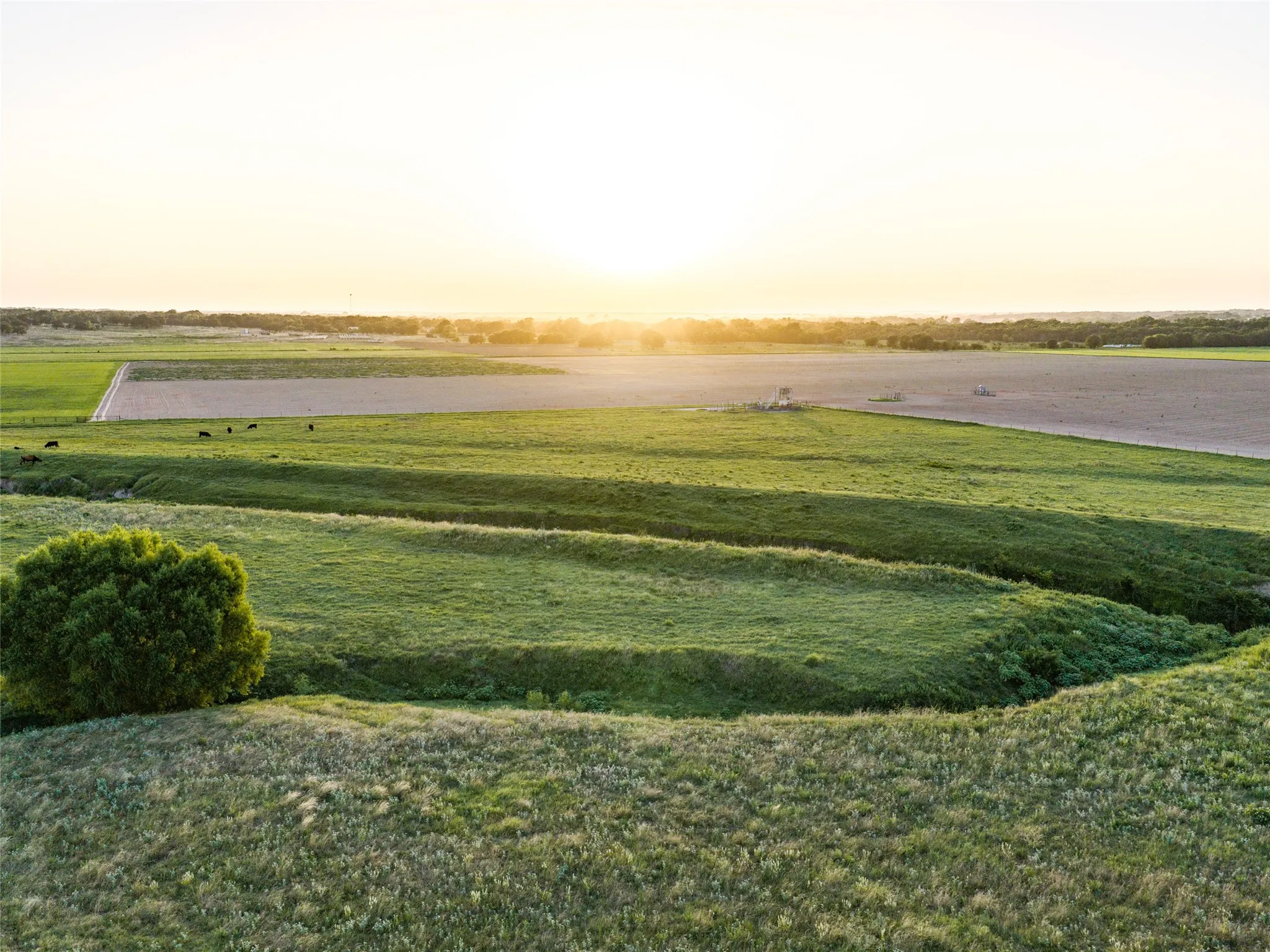 Ranch For Sale in Wise County , TBD FM 51, Paradise, Texas 76073, 0, 0, Garage spaces, 0 Sqft, built in 0, mls#21335307, Real Estate Agent in Paradise, Homes For Sale in Wise county, Homes For Sale in Paradise, Realtor in Paradise Texas, Real Estate Brokerage Independent Realty Texas, Luminita Cordes Realtor