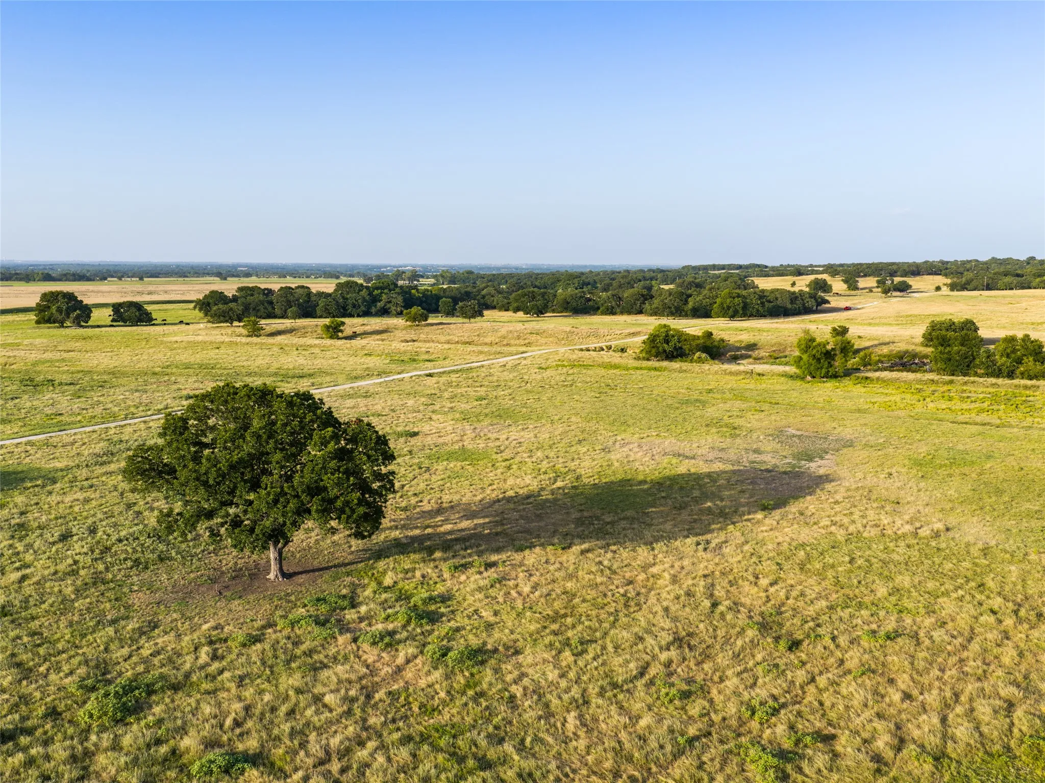 Ranch For Sale in Wise County , TBD FM 51, Paradise, Texas 76073, 0, 0, Garage spaces, 0 Sqft, built in 0, mls#21335307, Real Estate Agent in Paradise, Homes For Sale in Wise county, Homes For Sale in Paradise, Realtor in Paradise Texas, Real Estate Brokerage Independent Realty Texas, Luminita Cordes Realtor