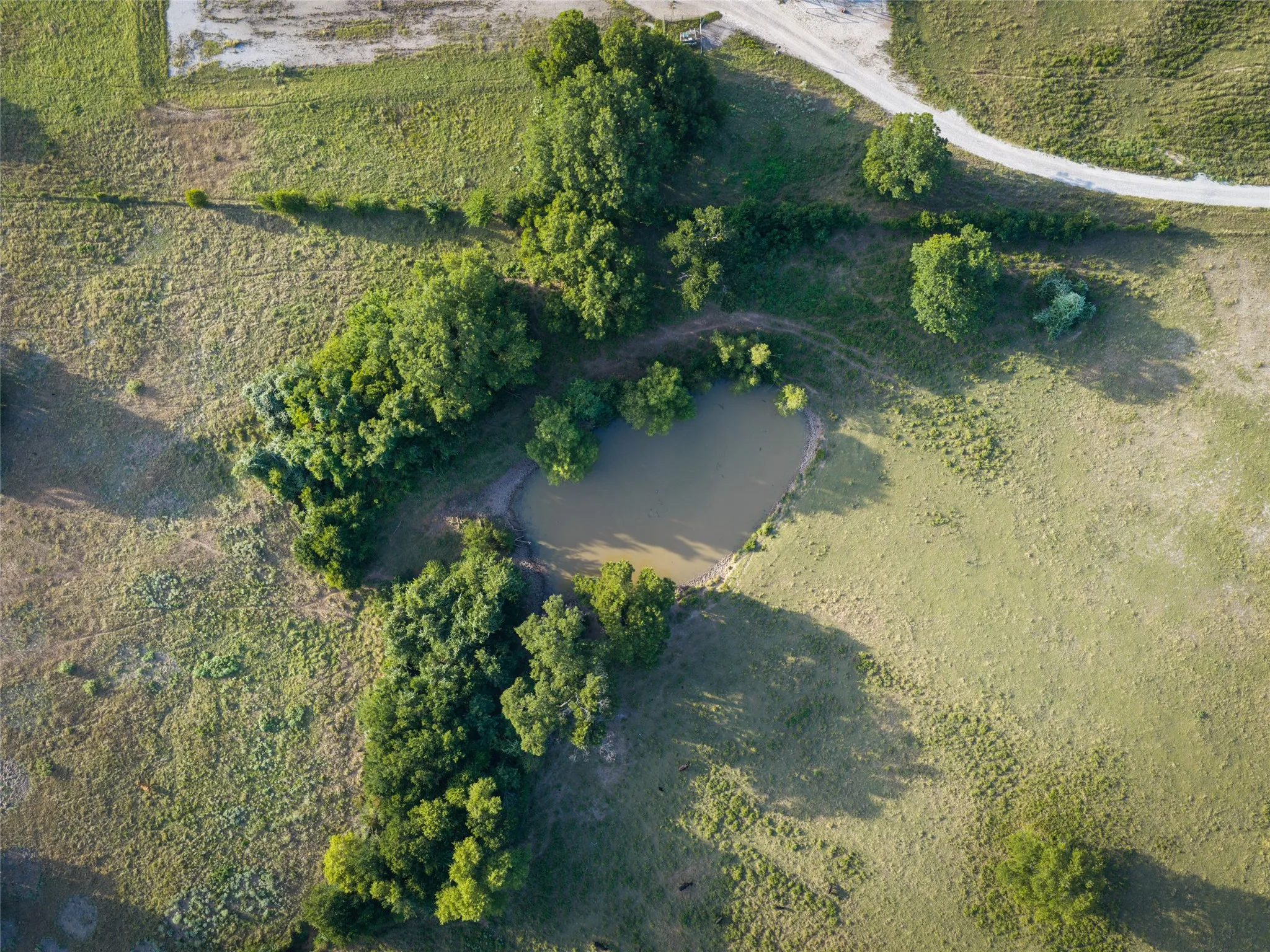 Ranch For Sale in Wise County , TBD FM 51, Paradise, Texas 76073, 0, 0, Garage spaces, 0 Sqft, built in 0, mls#21335307, Real Estate Agent in Paradise, Homes For Sale in Wise county, Homes For Sale in Paradise, Realtor in Paradise Texas, Real Estate Brokerage Independent Realty Texas, Luminita Cordes Realtor