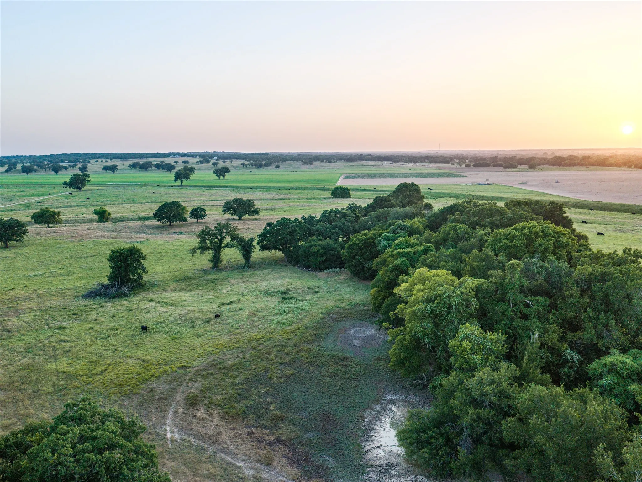 Ranch For Sale in Wise County , TBD FM 51, Paradise, Texas 76073, 0, 0, Garage spaces, 0 Sqft, built in 0, mls#21335307, Real Estate Agent in Paradise, Homes For Sale in Wise county, Homes For Sale in Paradise, Realtor in Paradise Texas, Real Estate Brokerage Independent Realty Texas, Luminita Cordes Realtor