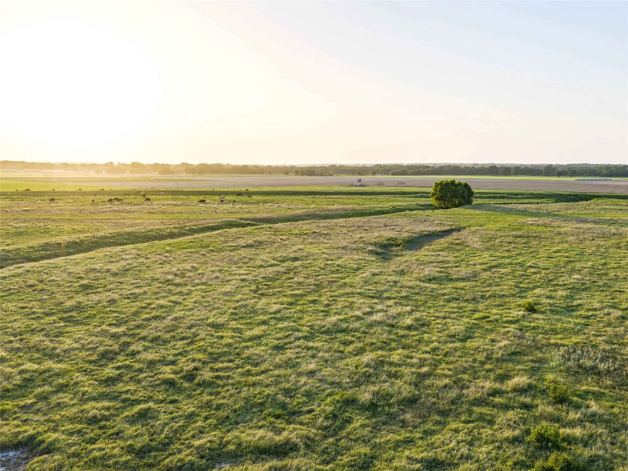 Ranch For Sale in Wise County , TBD FM 51, Paradise, Texas 76073, 0, 0, Garage spaces, 0 Sqft, built in 0, mls#21335307, Real Estate Agent in Paradise, Homes For Sale in Wise county, Homes For Sale in Paradise, Realtor in Paradise Texas, Real Estate Brokerage Independent Realty Texas, Luminita Cordes Realtor