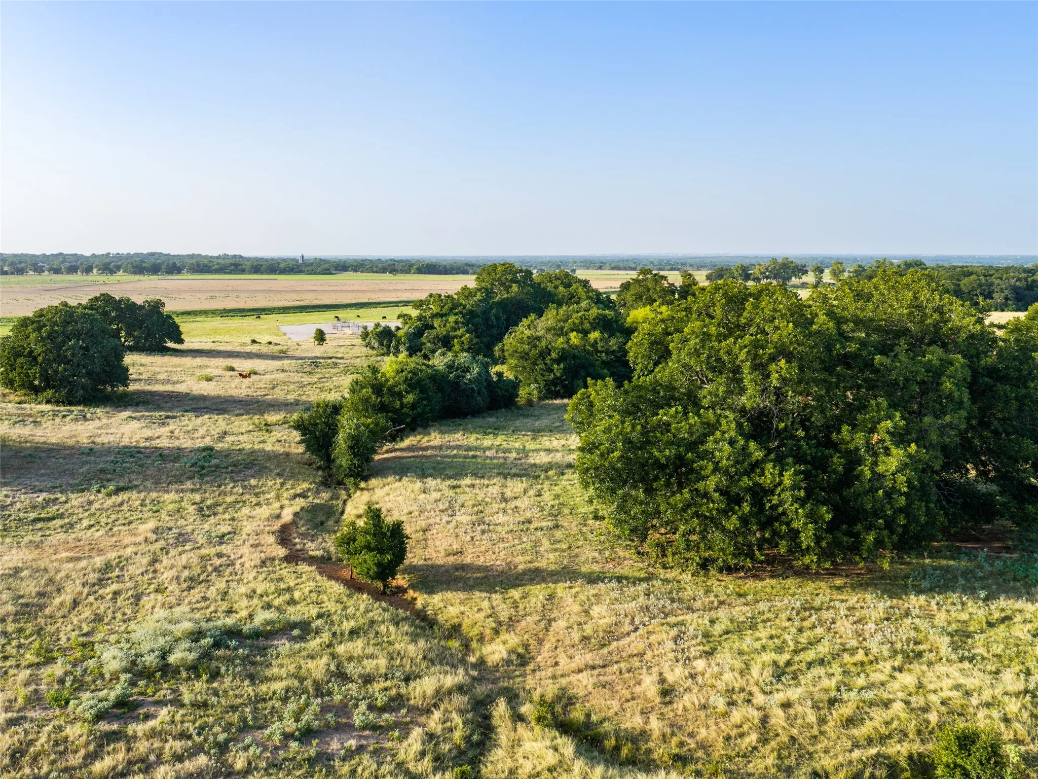 Ranch For Sale in Wise County , TBD FM 51, Paradise, Texas 76073, 0, 0, Garage spaces, 0 Sqft, built in 0, mls#21335307, Real Estate Agent in Paradise, Homes For Sale in Wise county, Homes For Sale in Paradise, Realtor in Paradise Texas, Real Estate Brokerage Independent Realty Texas, Luminita Cordes Realtor
