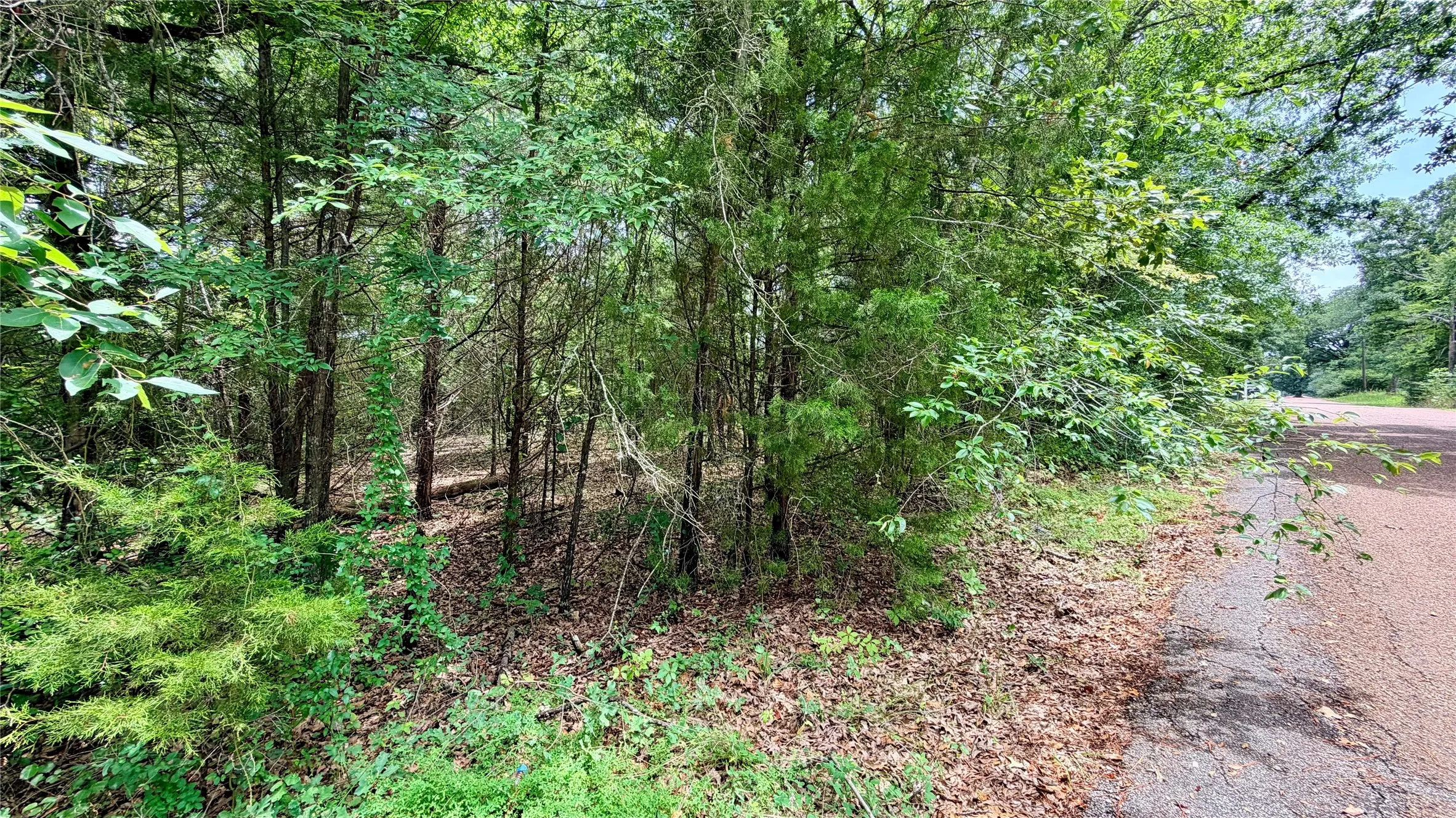 Unimproved Land For Sale in Henderson County , 180 Vista Drive, Eustace, Texas 75124, 0, 0, Garage spaces, 0 Sqft, built in 0, Price $49,900, mls#21335321, Real Estate Agent in Eustace, Homes For Sale in Henderson county, Homes For Sale in Eustace, Realtor in Eustace Texas, Real Estate Brokerage Independent Realty Texas, Luminita Cordes Realtor