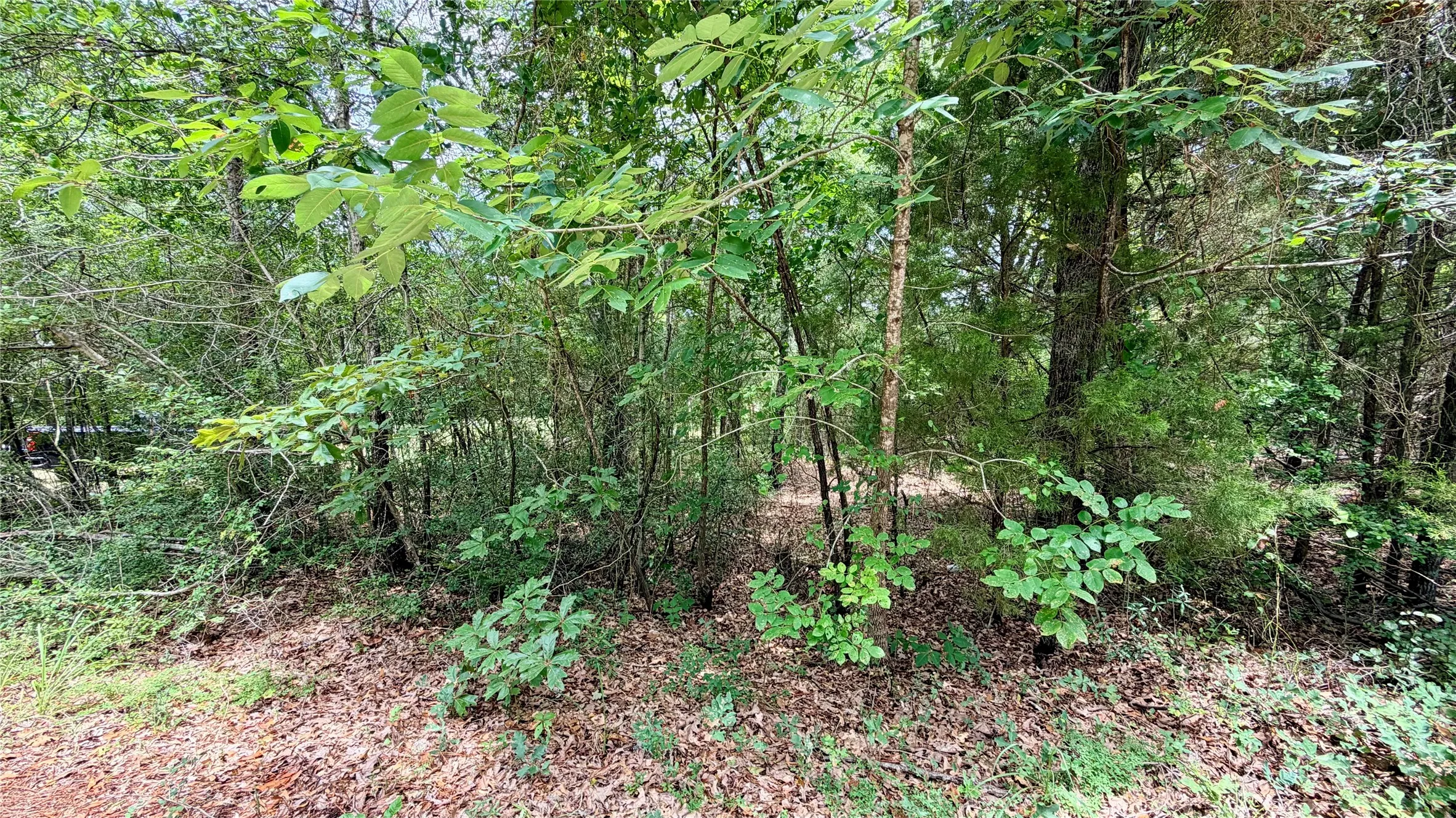 Unimproved Land For Sale in Henderson County , 180 Vista Drive, Eustace, Texas 75124, 0, 0, Garage spaces, 0 Sqft, built in 0, Price $49,900, mls#21335321, Real Estate Agent in Eustace, Homes For Sale in Henderson county, Homes For Sale in Eustace, Realtor in Eustace Texas, Real Estate Brokerage Independent Realty Texas, Luminita Cordes Realtor