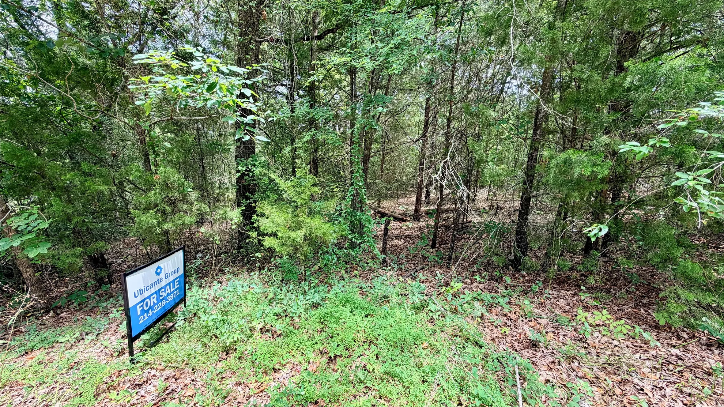 Unimproved Land For Sale in Henderson County , 180 Vista Drive, Eustace, Texas 75124, 0, 0, Garage spaces, 0 Sqft, built in 0, Price $49,900, mls#21335321, Real Estate Agent in Eustace, Homes For Sale in Henderson county, Homes For Sale in Eustace, Realtor in Eustace Texas, Real Estate Brokerage Independent Realty Texas, Luminita Cordes Realtor