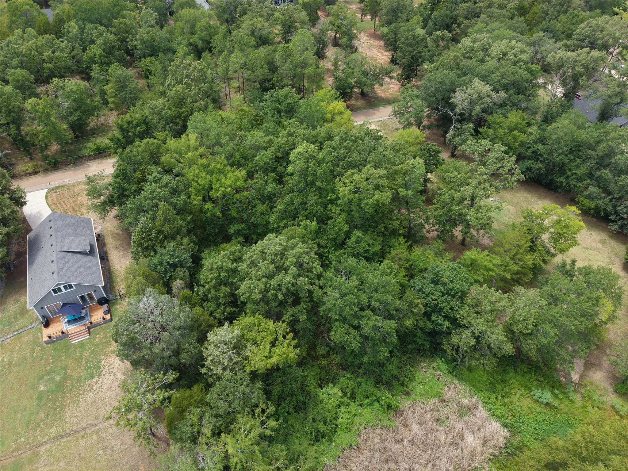 Unimproved Land For Sale in Henderson County , 180 Vista Drive, Eustace, Texas 75124, 0, 0, Garage spaces, 0 Sqft, built in 0, Price $49,900, mls#21335321, Real Estate Agent in Eustace, Homes For Sale in Henderson county, Homes For Sale in Eustace, Realtor in Eustace Texas, Real Estate Brokerage Independent Realty Texas, Luminita Cordes Realtor