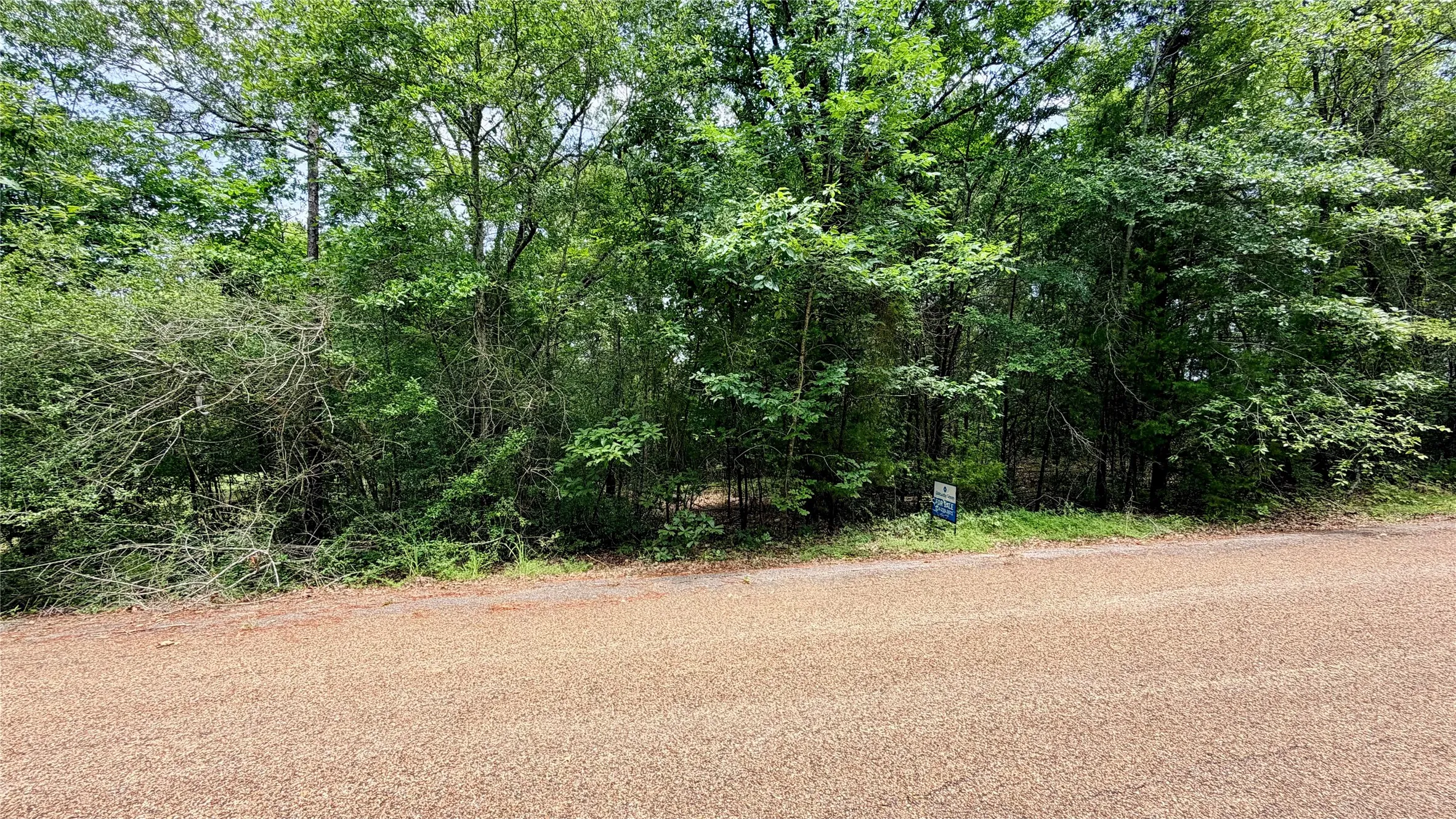 Unimproved Land For Sale in Henderson County , 180 Vista Drive, Eustace, Texas 75124, 0, 0, Garage spaces, 0 Sqft, built in 0, Price $49,900, mls#21335321, Real Estate Agent in Eustace, Homes For Sale in Henderson county, Homes For Sale in Eustace, Realtor in Eustace Texas, Real Estate Brokerage Independent Realty Texas, Luminita Cordes Realtor