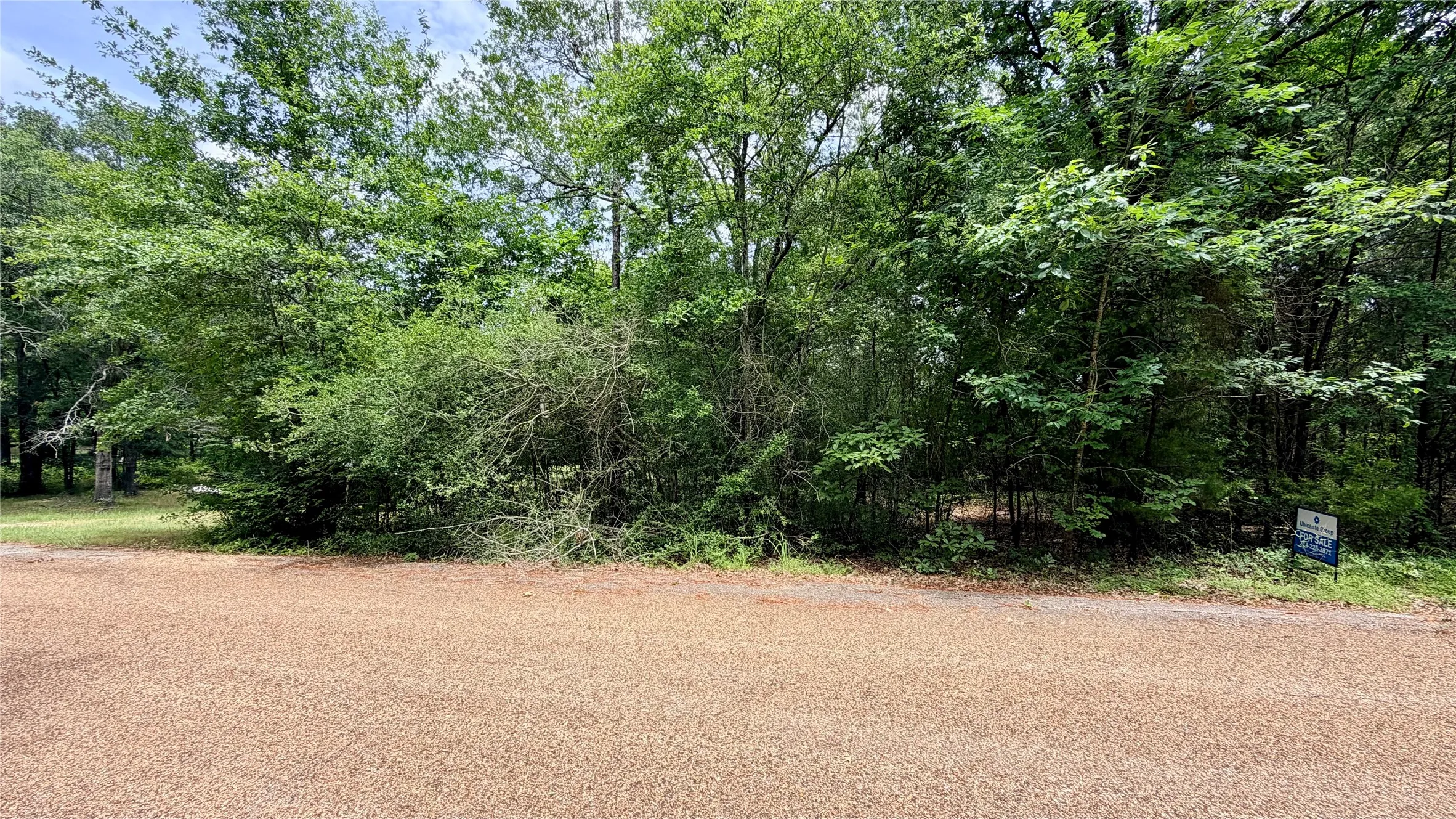 Unimproved Land For Sale in Henderson County , 180 Vista Drive, Eustace, Texas 75124, 0, 0, Garage spaces, 0 Sqft, built in 0, Price $49,900, mls#21335321, Real Estate Agent in Eustace, Homes For Sale in Henderson county, Homes For Sale in Eustace, Realtor in Eustace Texas, Real Estate Brokerage Independent Realty Texas, Luminita Cordes Realtor