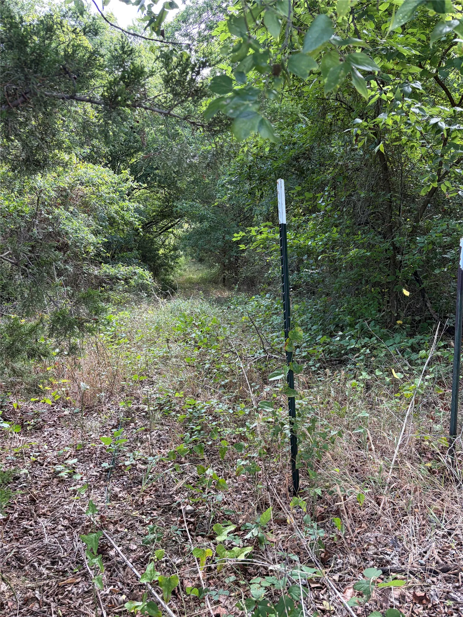 Unimproved Land For Sale in Johnson County , 11601 County Road 103, Grandview, Texas 76050, 0, 0, Garage spaces, 0 Sqft, built in 0, Price $285,000, mls#21335112, Real Estate Agent in Grandview, Homes For Sale in Johnson county, Homes For Sale in Grandview, Realtor in Grandview Texas, Real Estate Brokerage Independent Realty Texas, Luminita Cordes Realtor