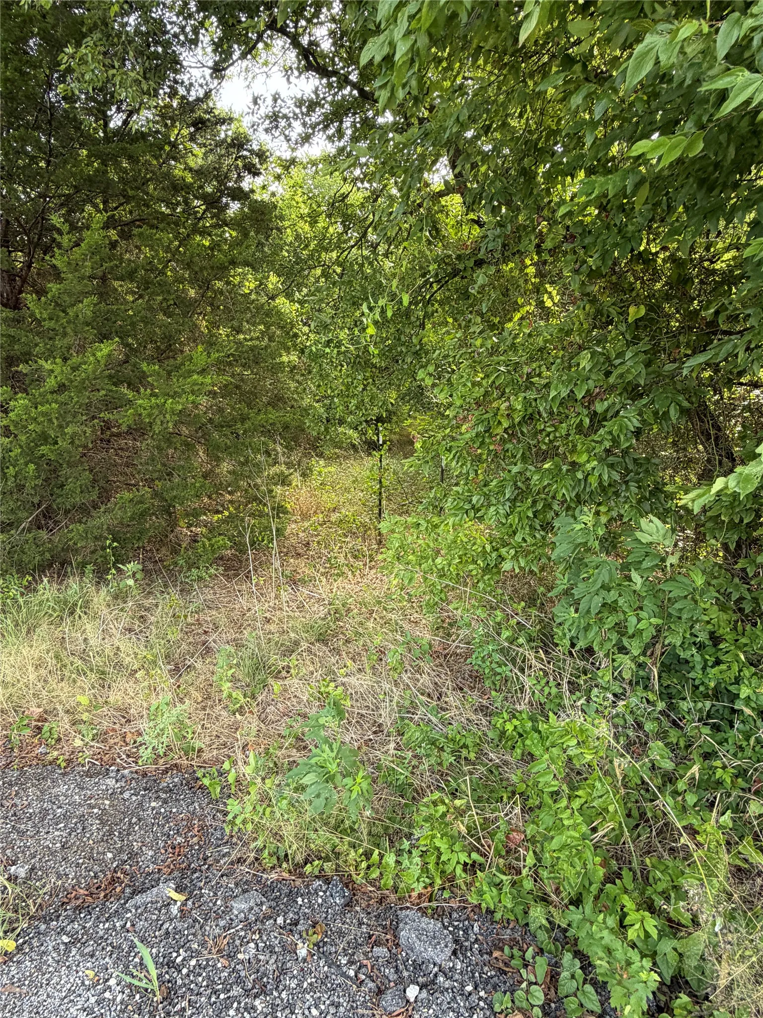 Unimproved Land For Sale in Johnson County , 11601 County Road 103, Grandview, Texas 76050, 0, 0, Garage spaces, 0 Sqft, built in 0, Price $285,000, mls#21335112, Real Estate Agent in Grandview, Homes For Sale in Johnson county, Homes For Sale in Grandview, Realtor in Grandview Texas, Real Estate Brokerage Independent Realty Texas, Luminita Cordes Realtor