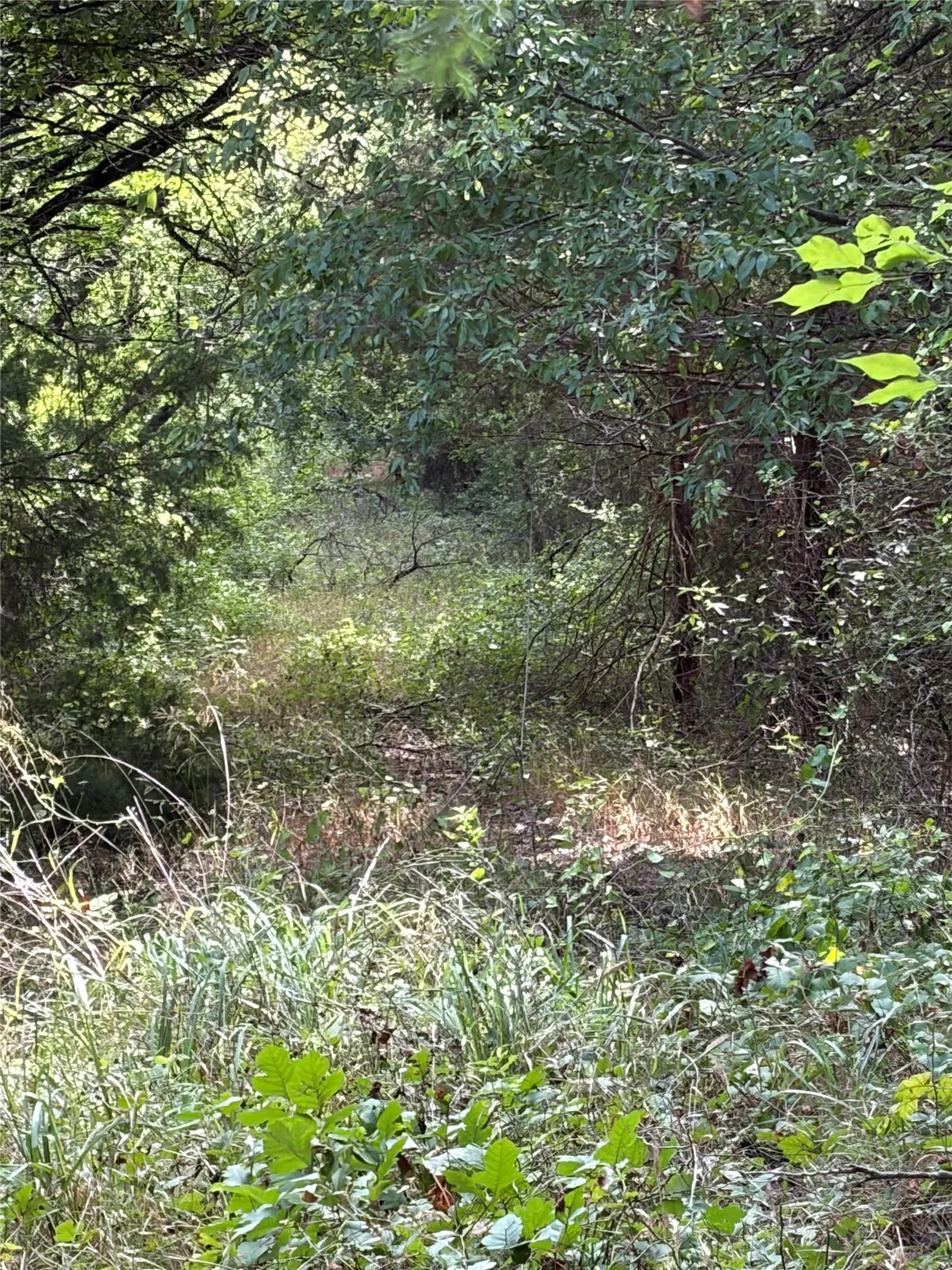 Unimproved Land For Sale in Johnson County , 11601 County Road 103, Grandview, Texas 76050, 0, 0, Garage spaces, 0 Sqft, built in 0, Price $285,000, mls#21335112, Real Estate Agent in Grandview, Homes For Sale in Johnson county, Homes For Sale in Grandview, Realtor in Grandview Texas, Real Estate Brokerage Independent Realty Texas, Luminita Cordes Realtor