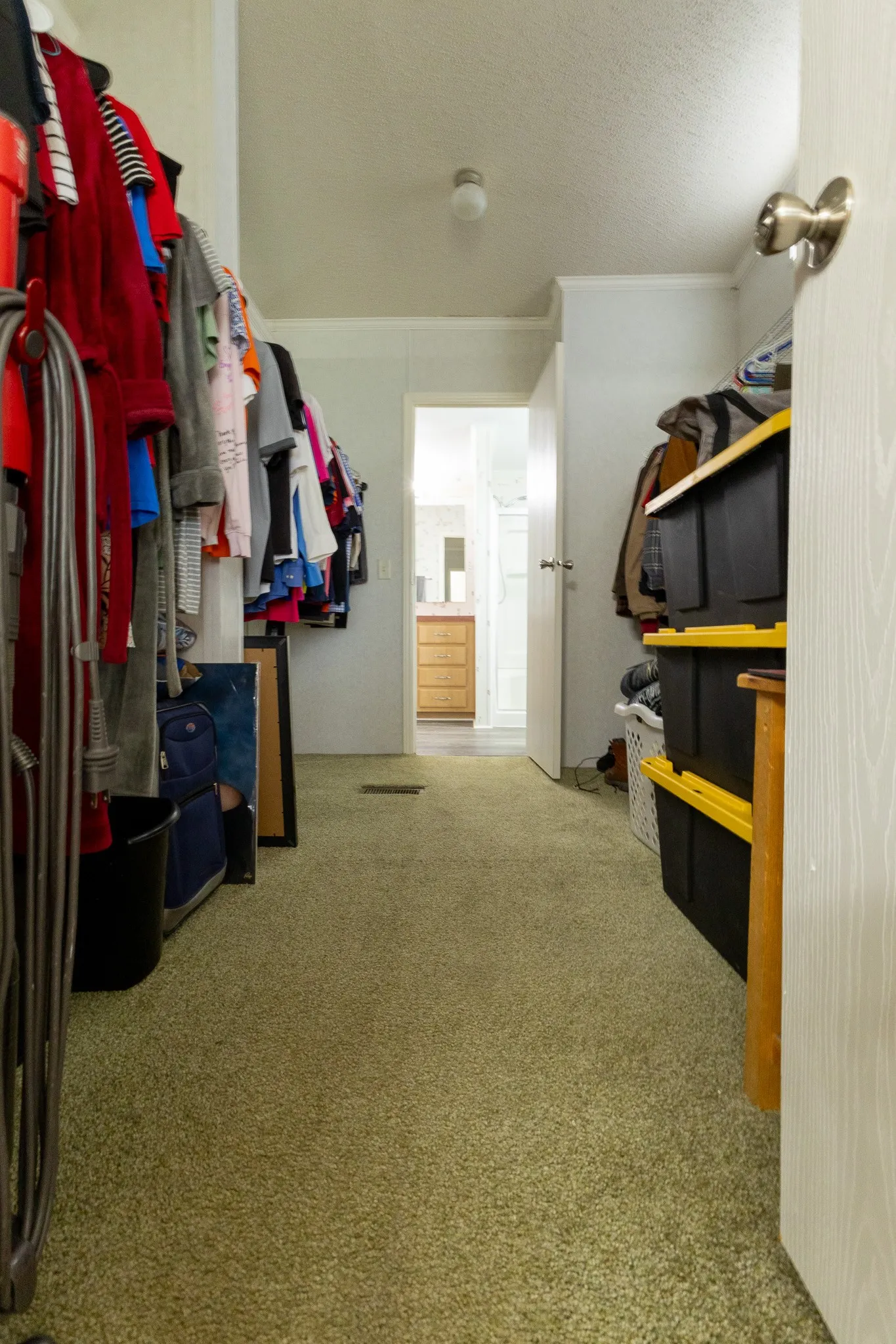 Walk-in closet featuring light green carpet flooring, white walls, and an overhead flush-mount light fixture