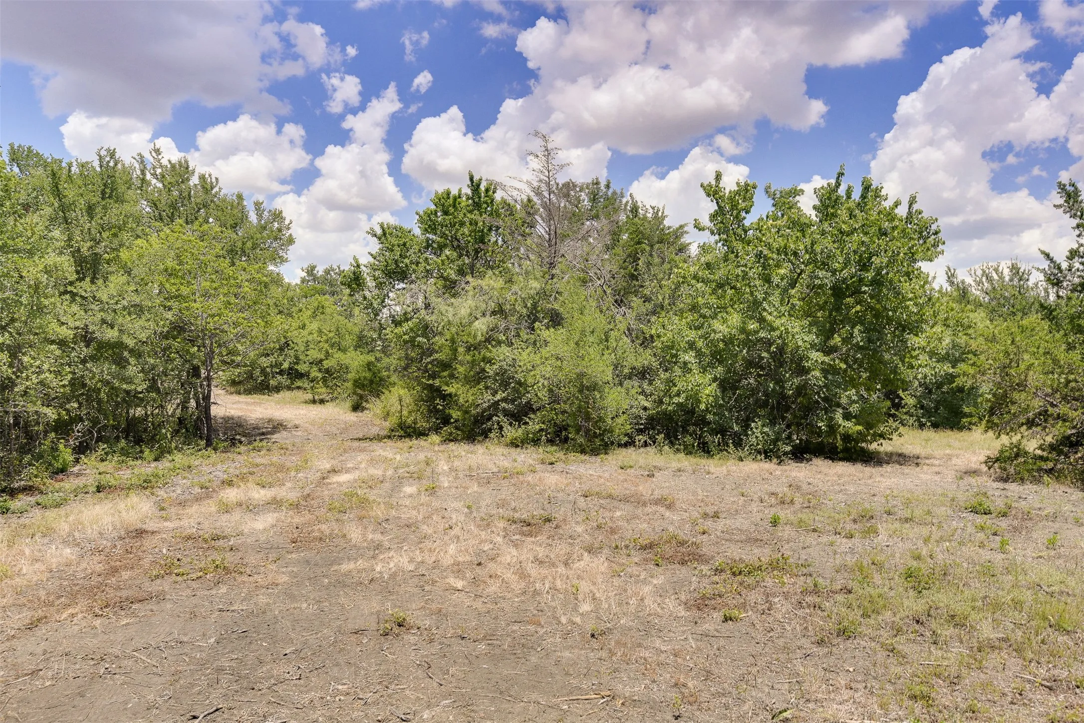 Open spaces featuring mature trees and a clear ground path