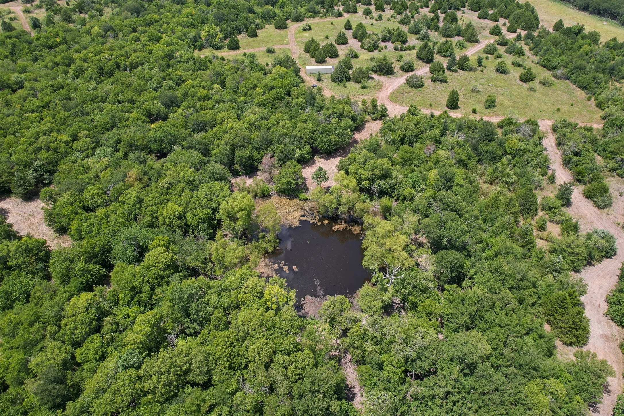 Expansive wooded acreage featuring a pond, open clearings, and mature trees.  Space by container would be a great location for your future residence.