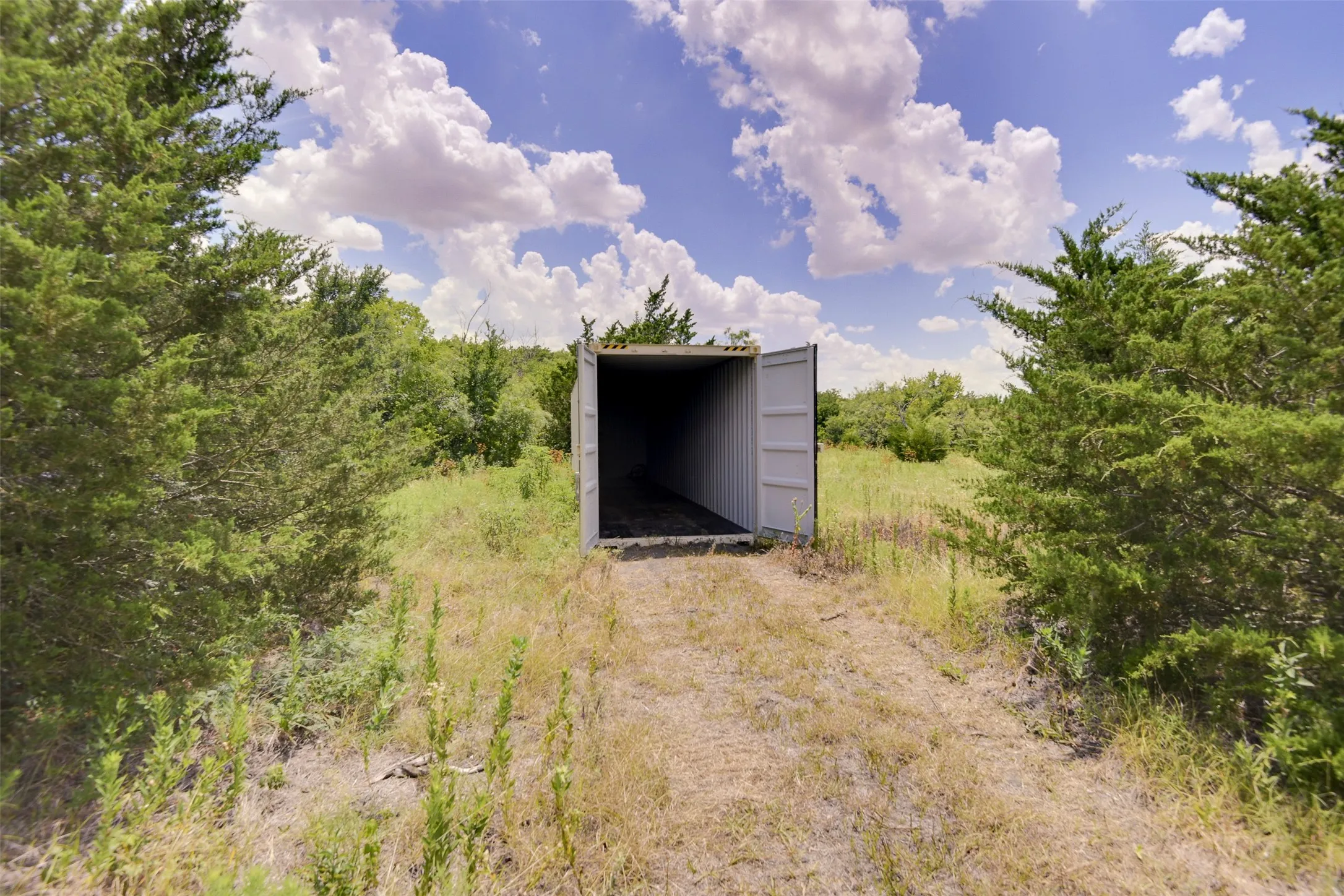 Cargo container situated in a natural landscape with mature evergreen trees.
