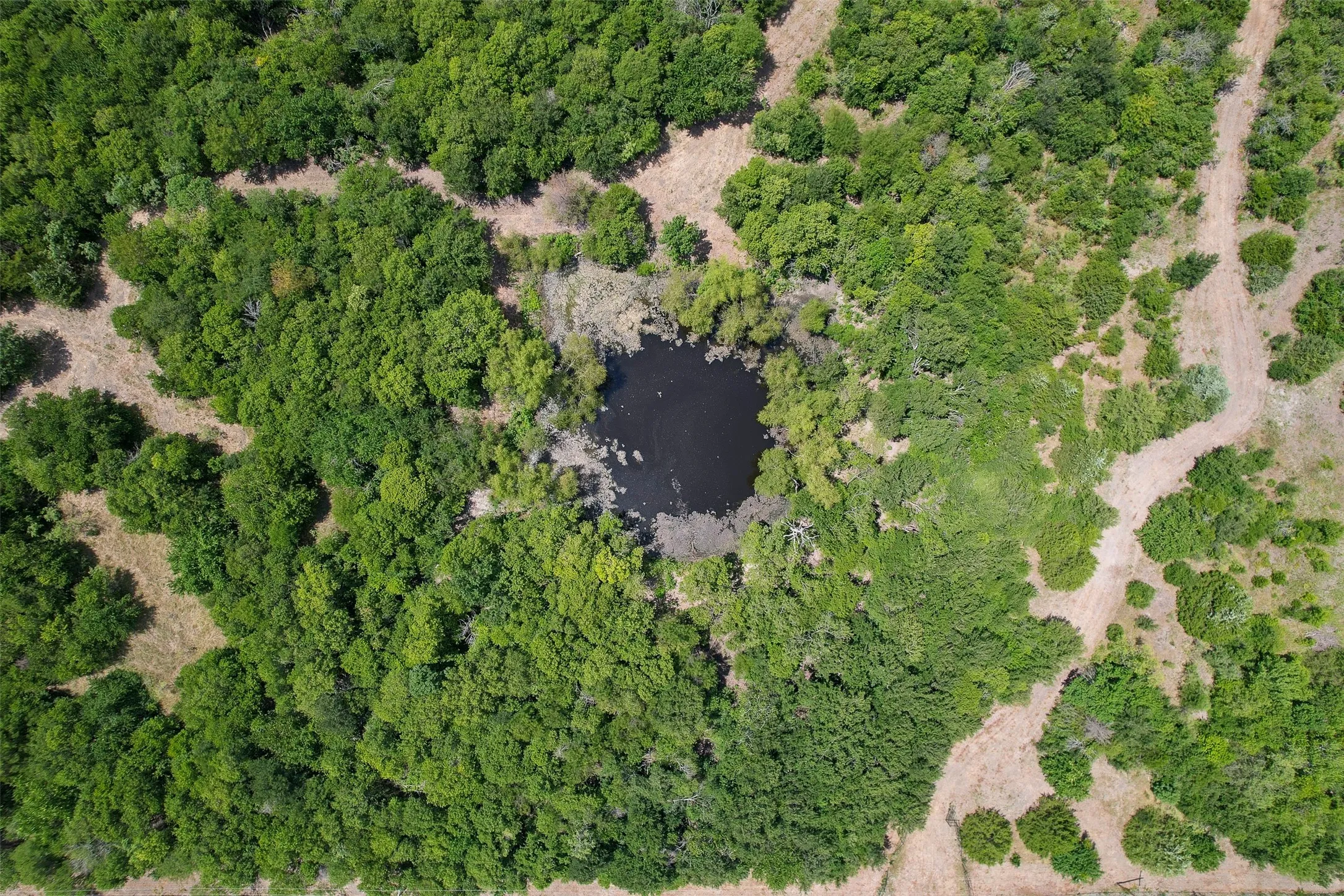 Tons of TREES on this property...Aerial perspective showcasing a natural water feature surrounded by dense, mature tree cover