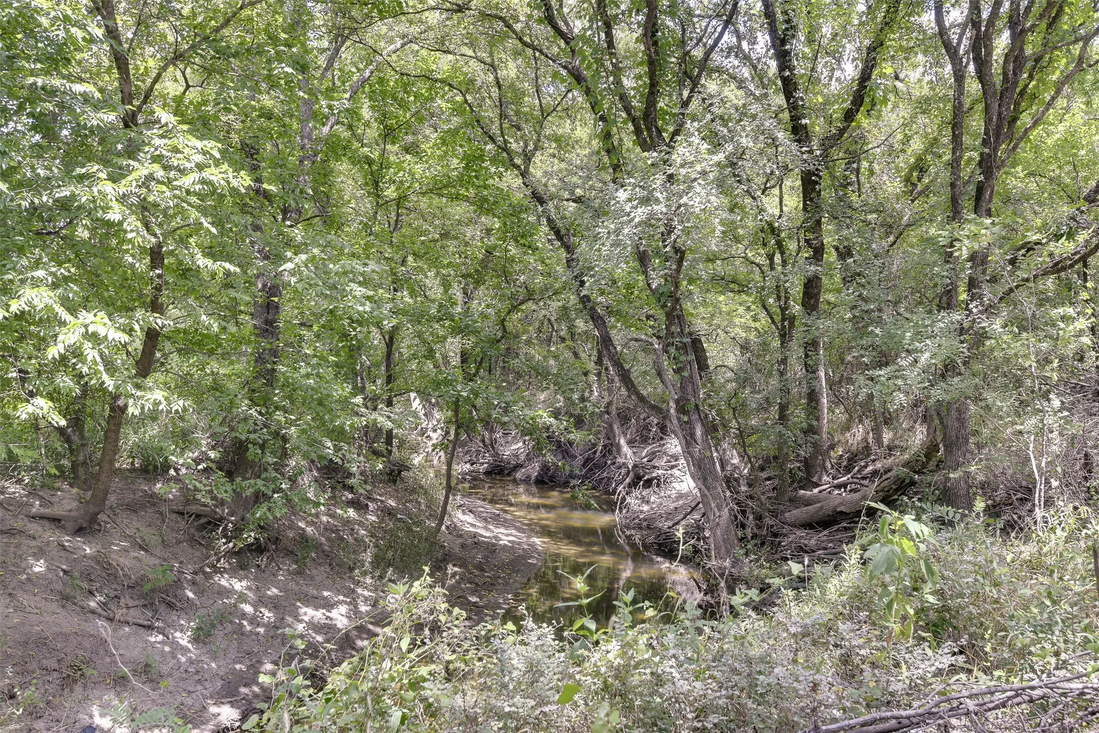 Seasonal creek thru the property surrounded by mature trees and lush vegetation