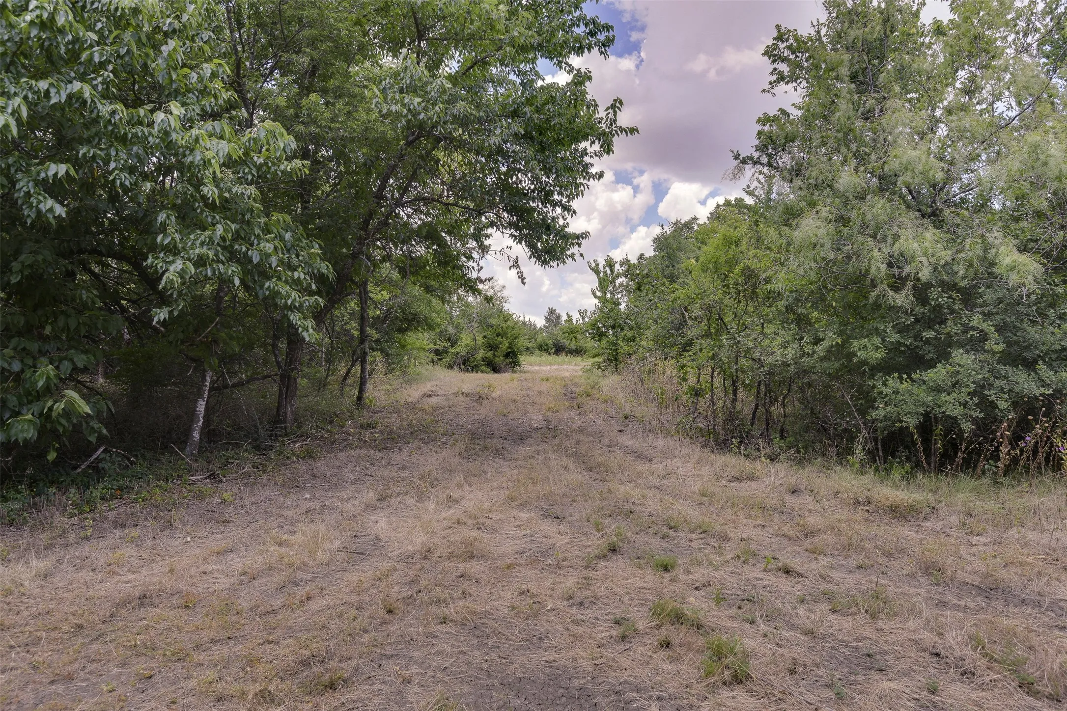 Expansive open land with a distinct pathway, bordered by mature trees and natural foliage