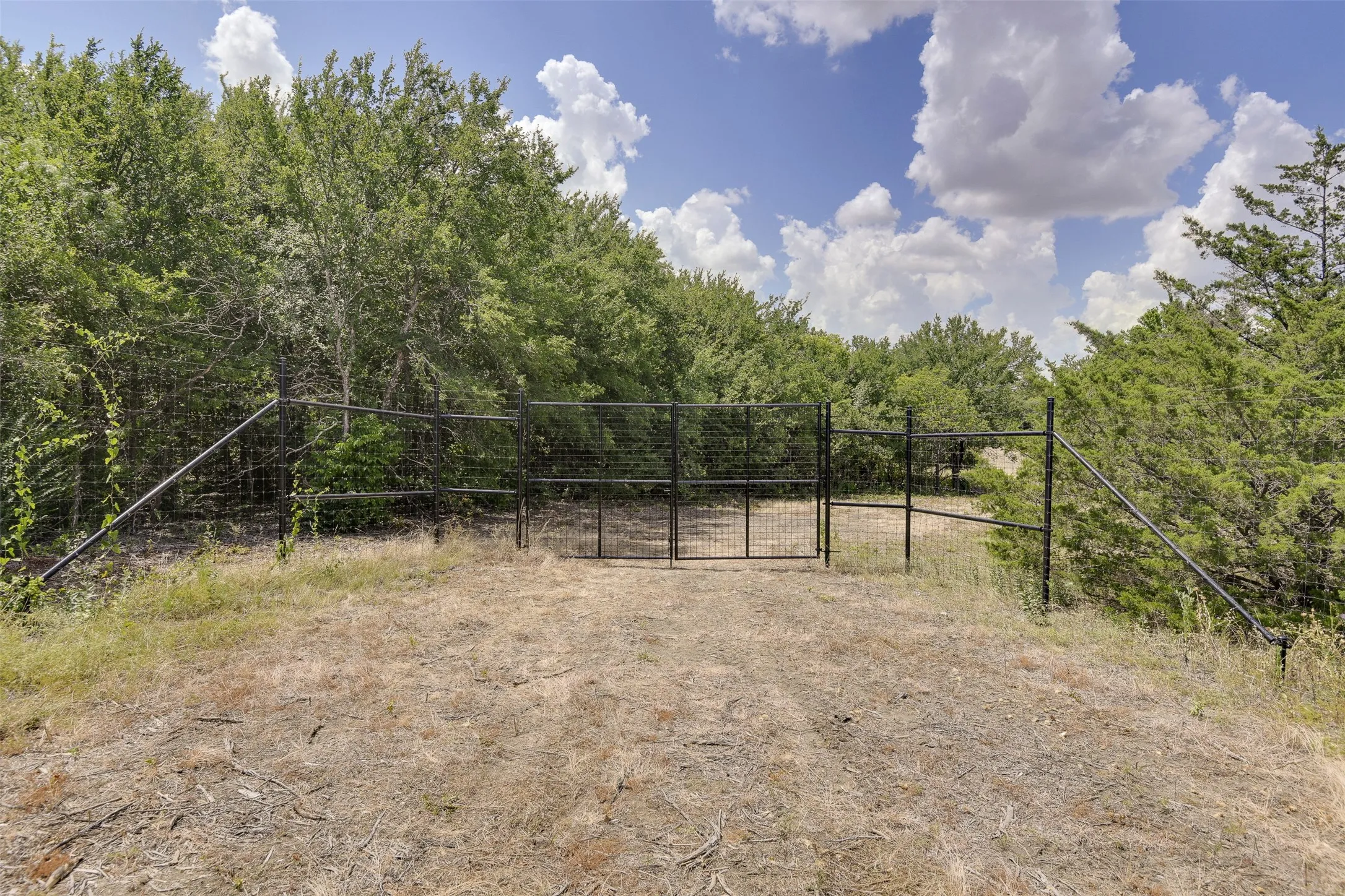 Main Gate Entry, powder coated hi fence.