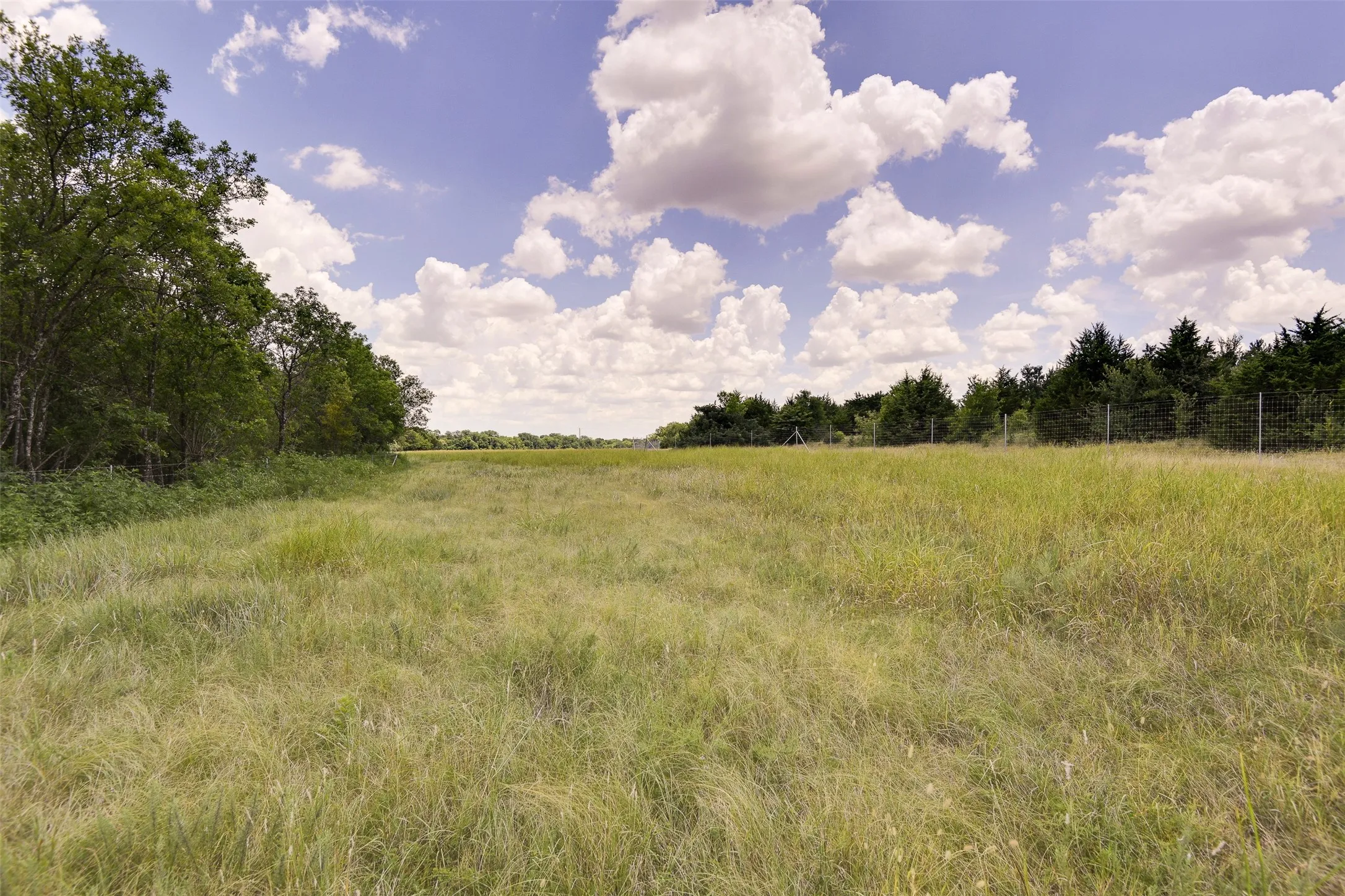 Expansive open hay field and mature trees bordering the perimeter