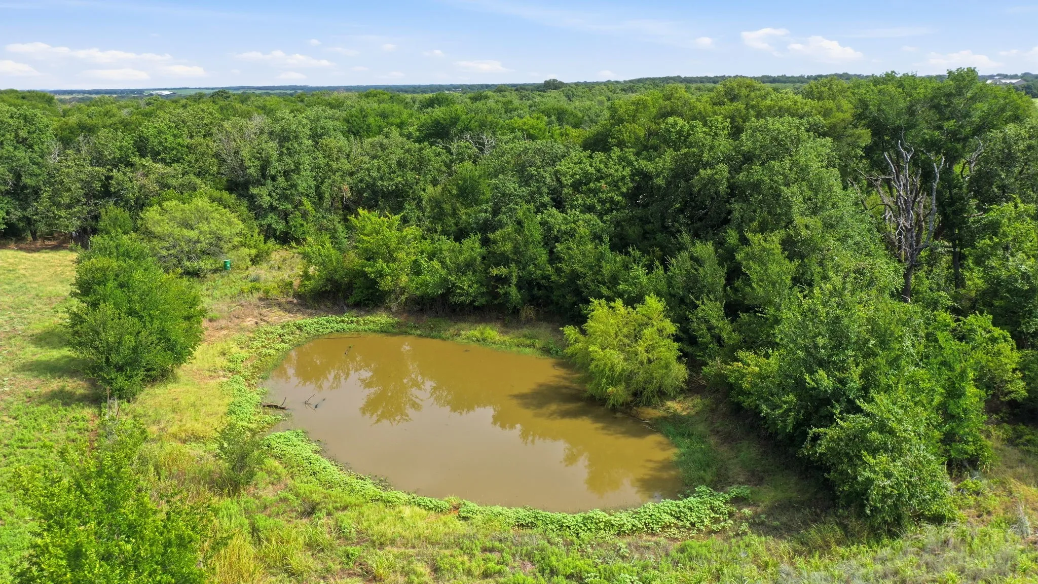 Farm For Sale in Erath County , 815 FM 913, Stephenville, Texas 76401, 3 Bedrooms, 2 Bathrooms, 3 Garage spaces, 2,859 Sqft, built in 1973, Price $1,100,000, mls#21335187, Real Estate Agent in Stephenville, Homes For Sale in Erath county, Homes For Sale in Stephenville, Realtor in Stephenville Texas, Real Estate Brokerage Independent Realty Texas, Luminita Cordes Realtor