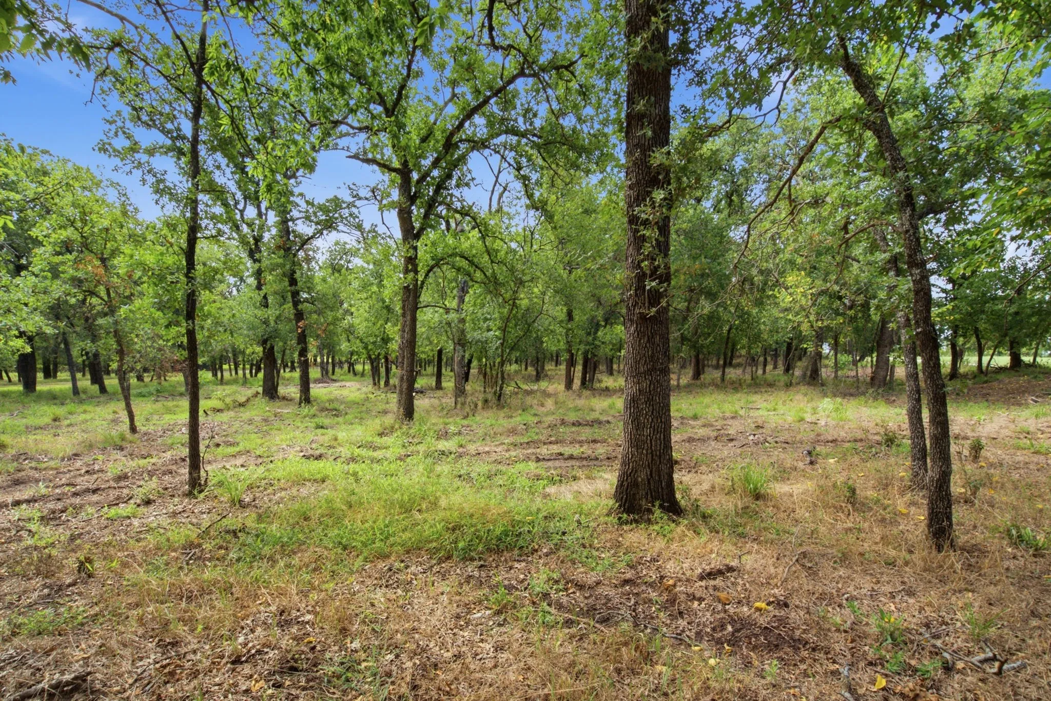 Farm For Sale in Erath County , 815 FM 913, Stephenville, Texas 76401, 3 Bedrooms, 2 Bathrooms, 3 Garage spaces, 2,859 Sqft, built in 1973, Price $1,100,000, mls#21335187, Real Estate Agent in Stephenville, Homes For Sale in Erath county, Homes For Sale in Stephenville, Realtor in Stephenville Texas, Real Estate Brokerage Independent Realty Texas, Luminita Cordes Realtor
