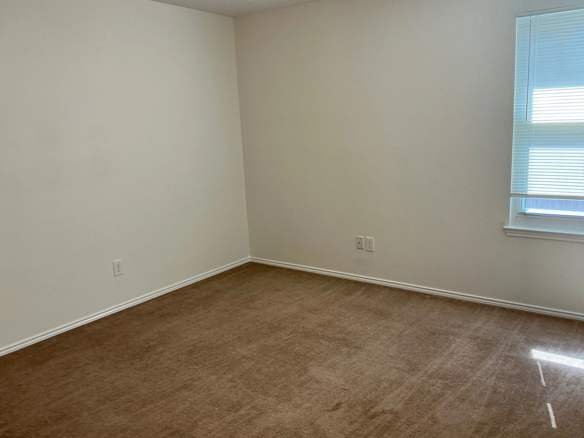 Bedrooms are carpeted