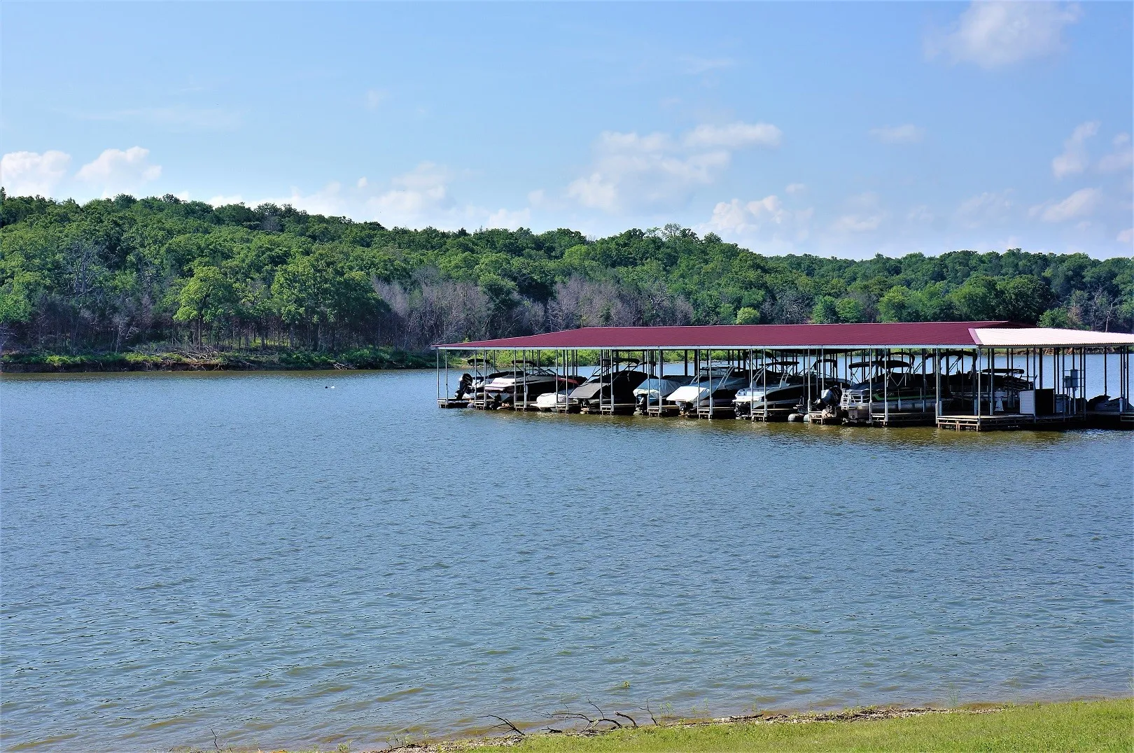 Unimproved Land For Sale in Grayson County , 573 Sycamore Hills Loop, Gordonville, Texas 76245, 0, 0, Garage spaces, 0 Sqft, built in 0, Price $19,900, mls#21335147, Real Estate Agent in Gordonville, Homes For Sale in Grayson county, Homes For Sale in Gordonville, Realtor in Gordonville Texas, Real Estate Brokerage Independent Realty Texas, Luminita Cordes Realtor