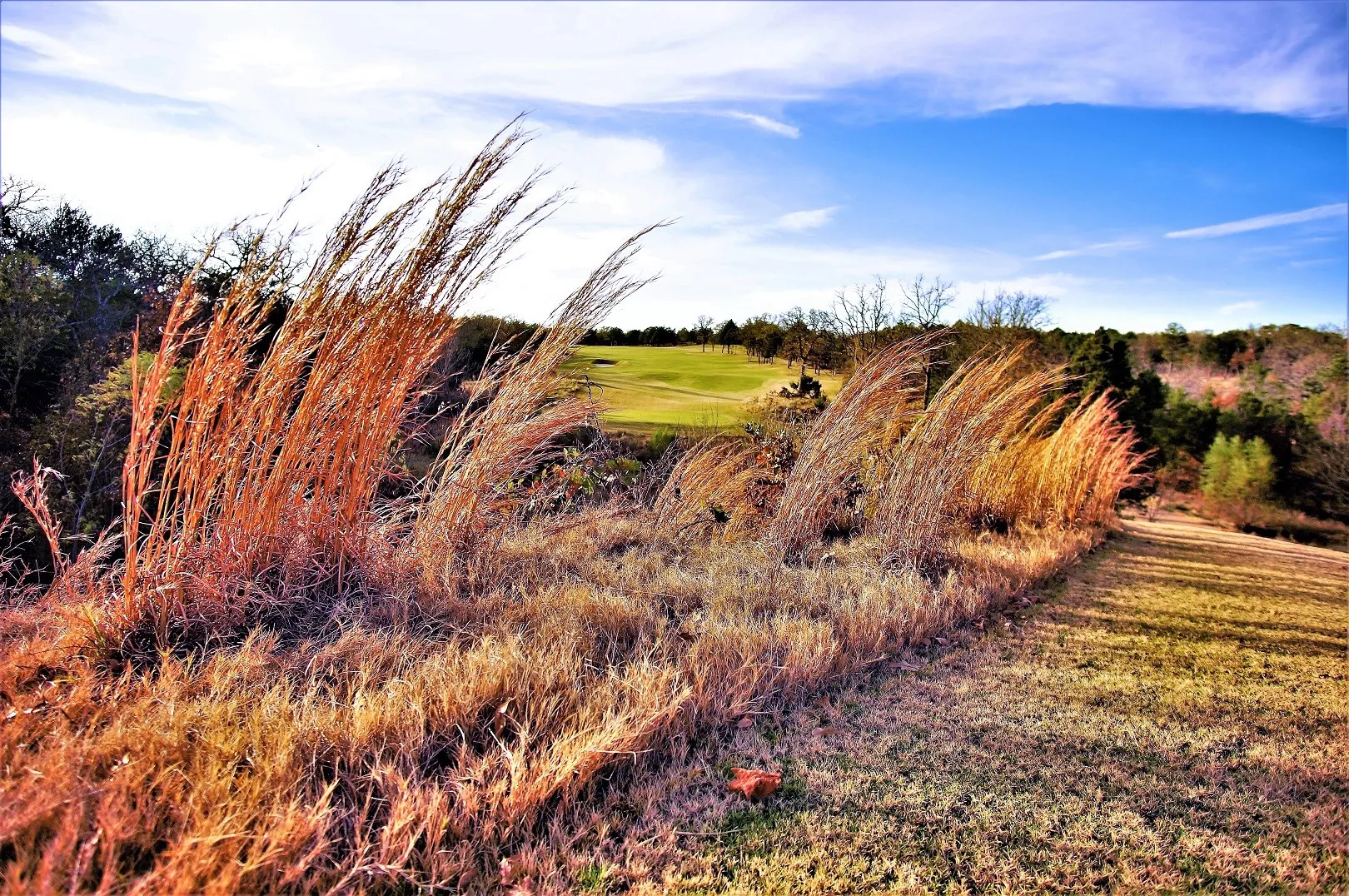 Unimproved Land For Sale in Grayson County , 573 Sycamore Hills Loop, Gordonville, Texas 76245, 0, 0, Garage spaces, 0 Sqft, built in 0, Price $19,900, mls#21335147, Real Estate Agent in Gordonville, Homes For Sale in Grayson county, Homes For Sale in Gordonville, Realtor in Gordonville Texas, Real Estate Brokerage Independent Realty Texas, Luminita Cordes Realtor