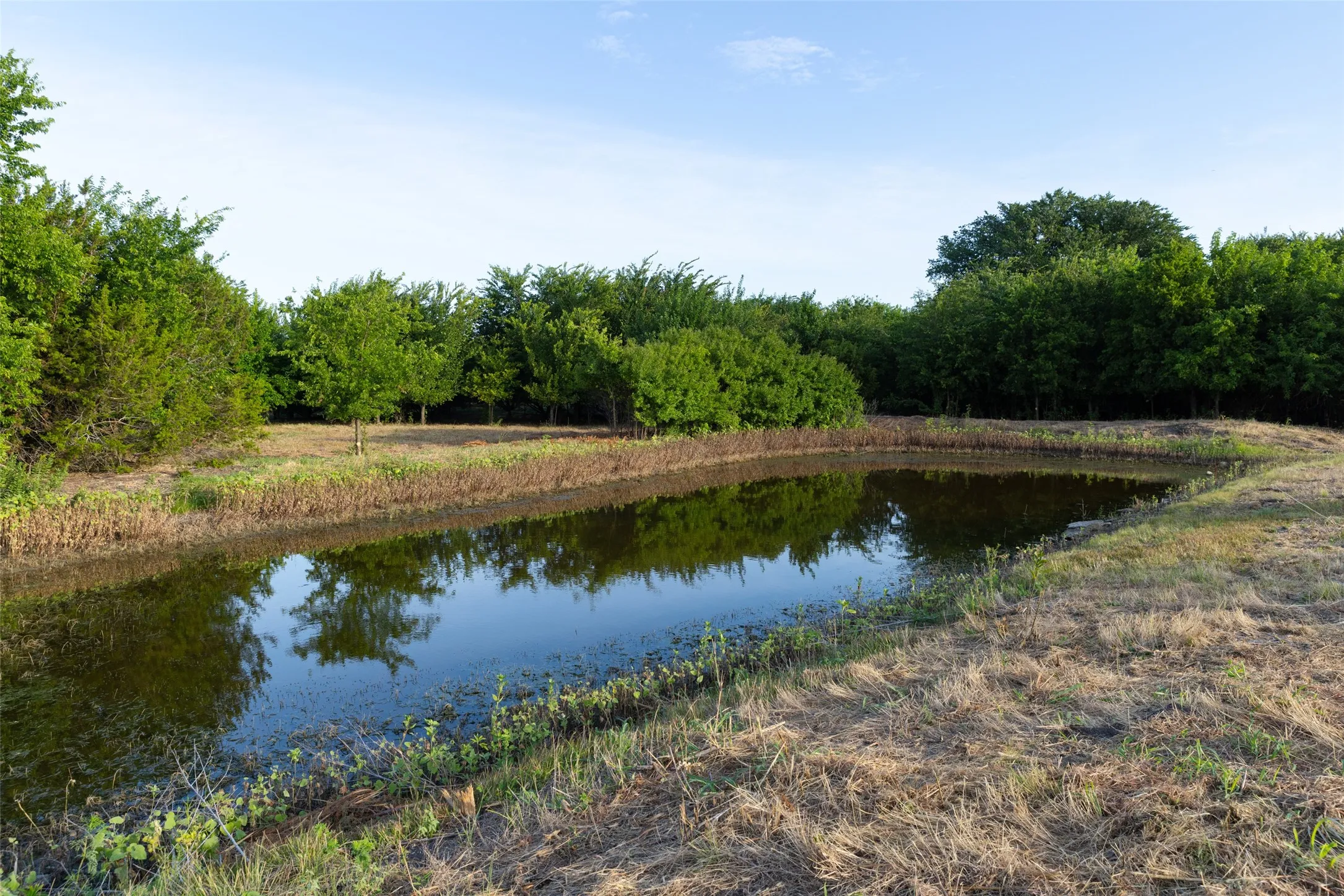 Improved Land For Sale in Erath County , TBD 12 CR 200, Stephenville, Texas 76401, 0, 0, Garage spaces, 0 Sqft, built in 0, Price $233,120, mls#21334613, Real Estate Agent in Stephenville, Homes For Sale in Erath county, Homes For Sale in Stephenville, Realtor in Stephenville Texas, Real Estate Brokerage Independent Realty Texas, Luminita Cordes Realtor