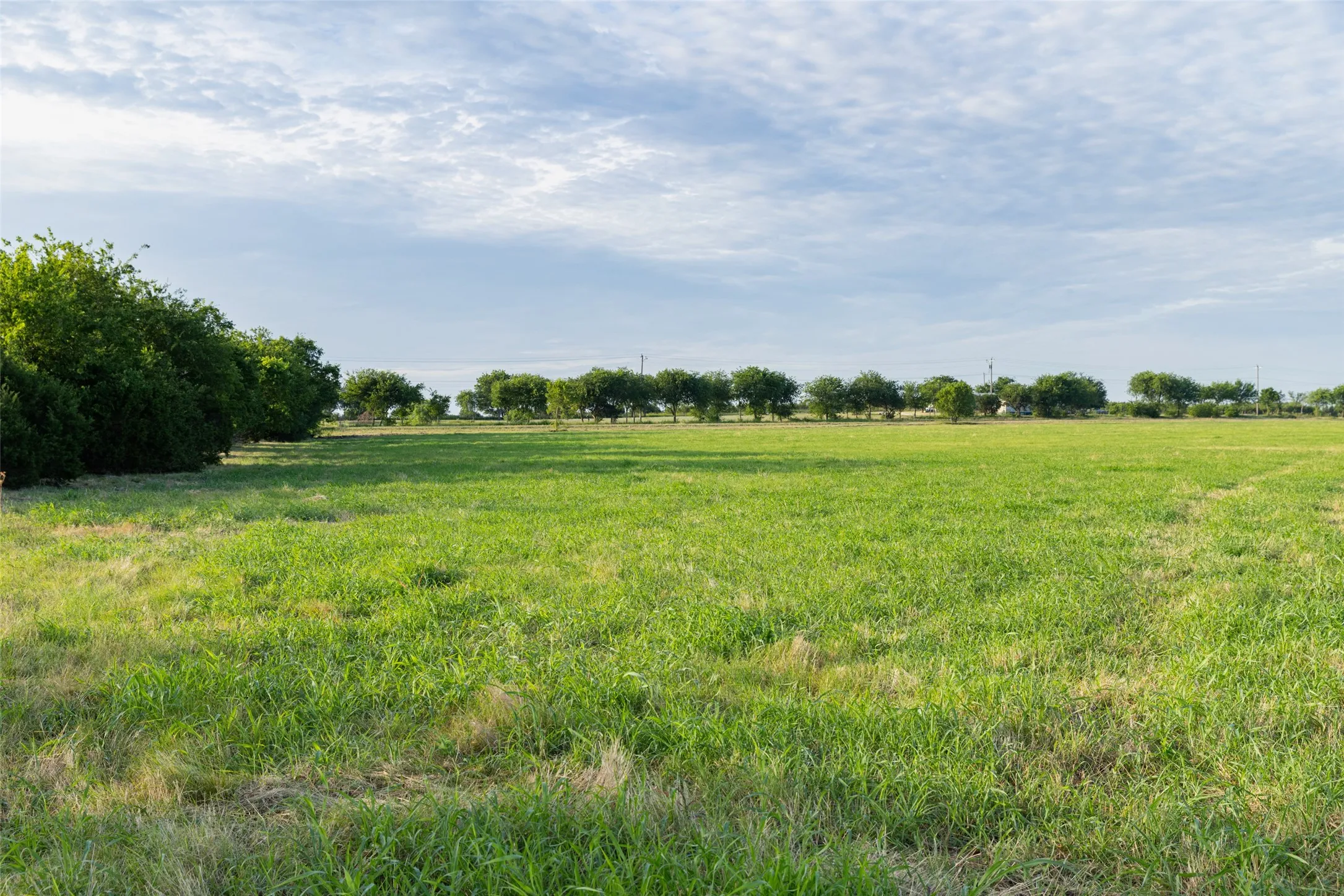 Improved Land For Sale in Erath County , TBD 12 CR 200, Stephenville, Texas 76401, 0, 0, Garage spaces, 0 Sqft, built in 0, Price $233,120, mls#21334613, Real Estate Agent in Stephenville, Homes For Sale in Erath county, Homes For Sale in Stephenville, Realtor in Stephenville Texas, Real Estate Brokerage Independent Realty Texas, Luminita Cordes Realtor