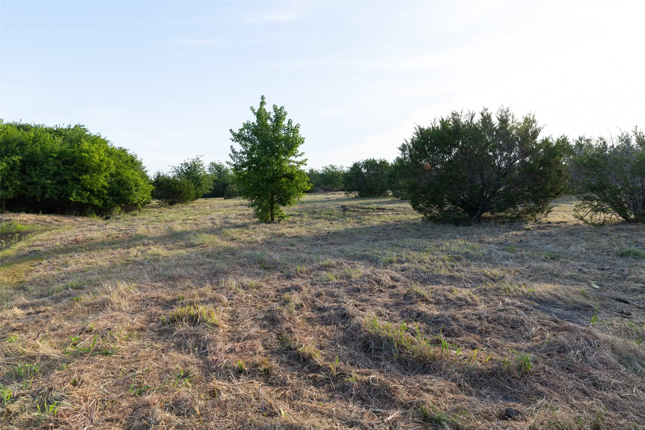 Improved Land For Sale in Erath County , TBD 12 CR 200, Stephenville, Texas 76401, 0, 0, Garage spaces, 0 Sqft, built in 0, Price $233,120, mls#21334613, Real Estate Agent in Stephenville, Homes For Sale in Erath county, Homes For Sale in Stephenville, Realtor in Stephenville Texas, Real Estate Brokerage Independent Realty Texas, Luminita Cordes Realtor
