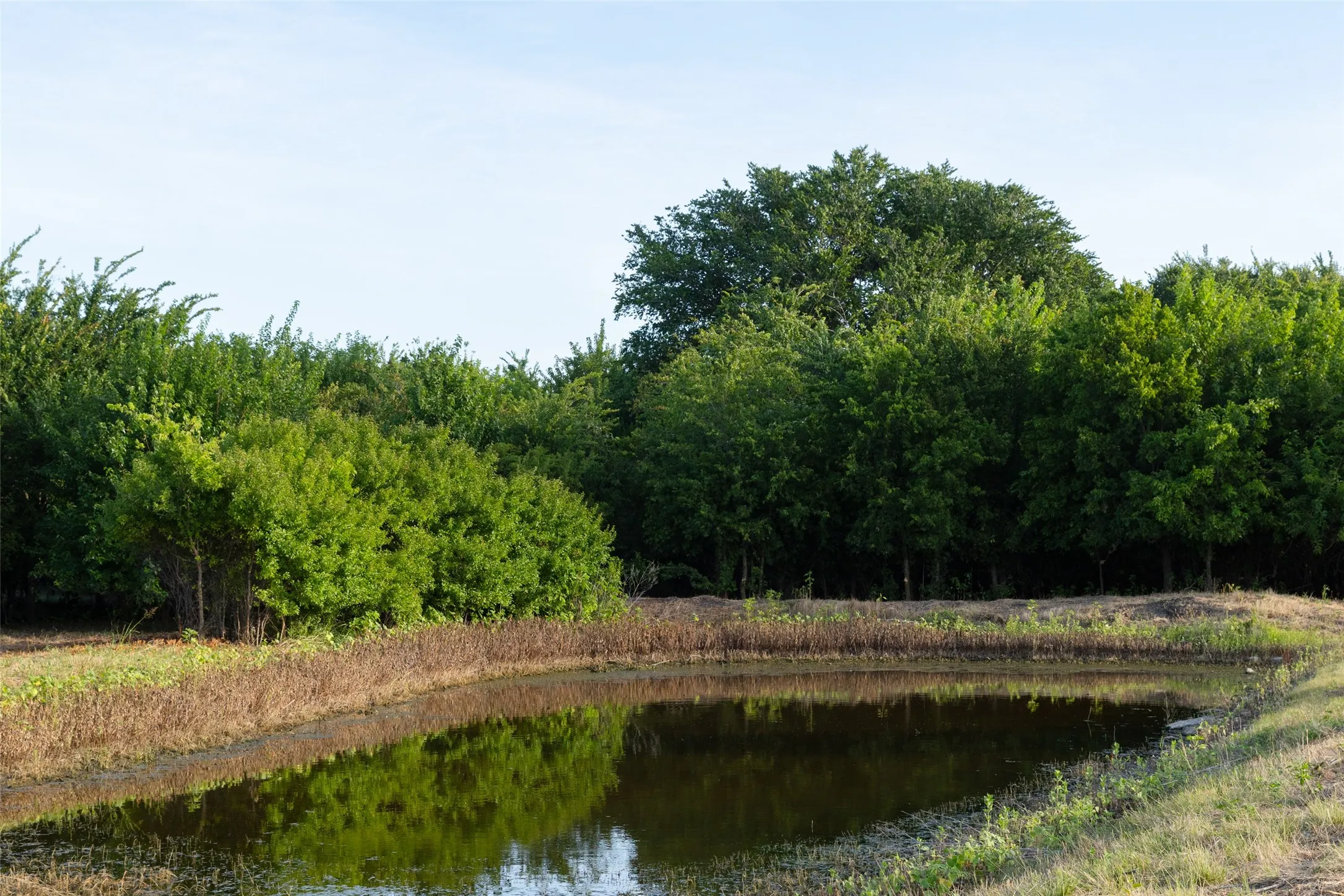 Improved Land For Sale in Erath County , TBD 11 CR 200, Stephenville, Texas 76401, 0, 0, Garage spaces, 0 Sqft, built in 0, Price $220,020, mls#21334600, Real Estate Agent in Stephenville, Homes For Sale in Erath county, Homes For Sale in Stephenville, Realtor in Stephenville Texas, Real Estate Brokerage Independent Realty Texas, Luminita Cordes Realtor