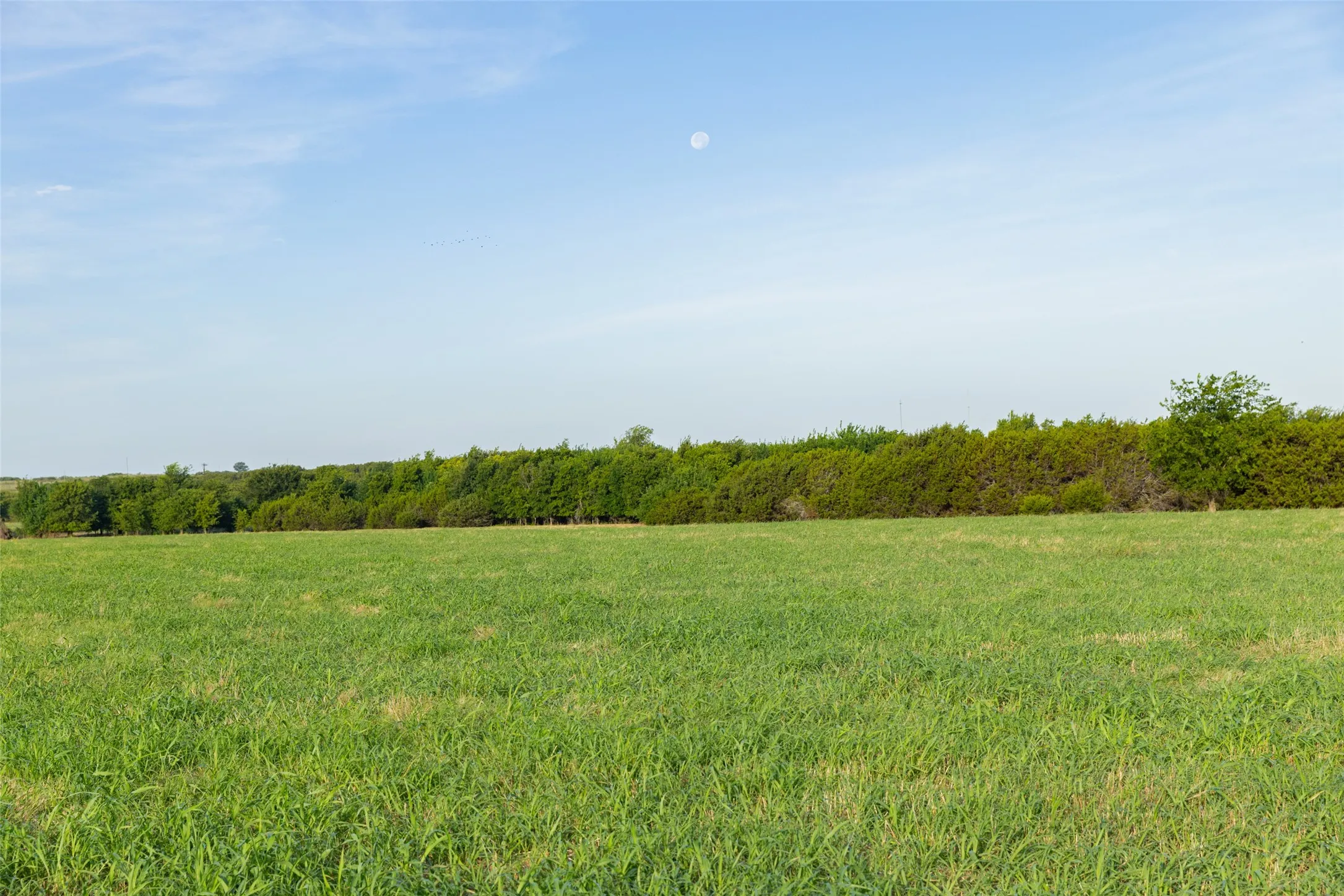 Improved Land For Sale in Erath County , TBD 7 SH 220, Stephenville, Texas 76401, 0, 0, Garage spaces, 0 Sqft, built in 0, Price $206,100, mls#21334579, Real Estate Agent in Stephenville, Homes For Sale in Erath county, Homes For Sale in Stephenville, Realtor in Stephenville Texas, Real Estate Brokerage Independent Realty Texas, Luminita Cordes Realtor