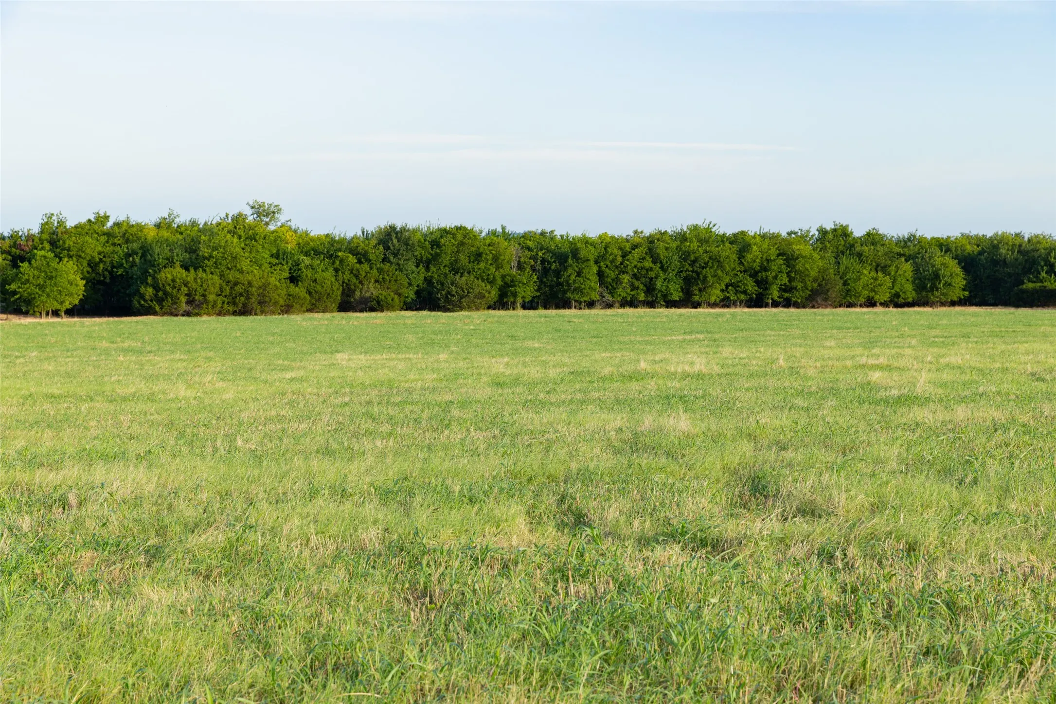 Improved Land For Sale in Erath County , TBD 7 SH 220, Stephenville, Texas 76401, 0, 0, Garage spaces, 0 Sqft, built in 0, Price $206,100, mls#21334579, Real Estate Agent in Stephenville, Homes For Sale in Erath county, Homes For Sale in Stephenville, Realtor in Stephenville Texas, Real Estate Brokerage Independent Realty Texas, Luminita Cordes Realtor