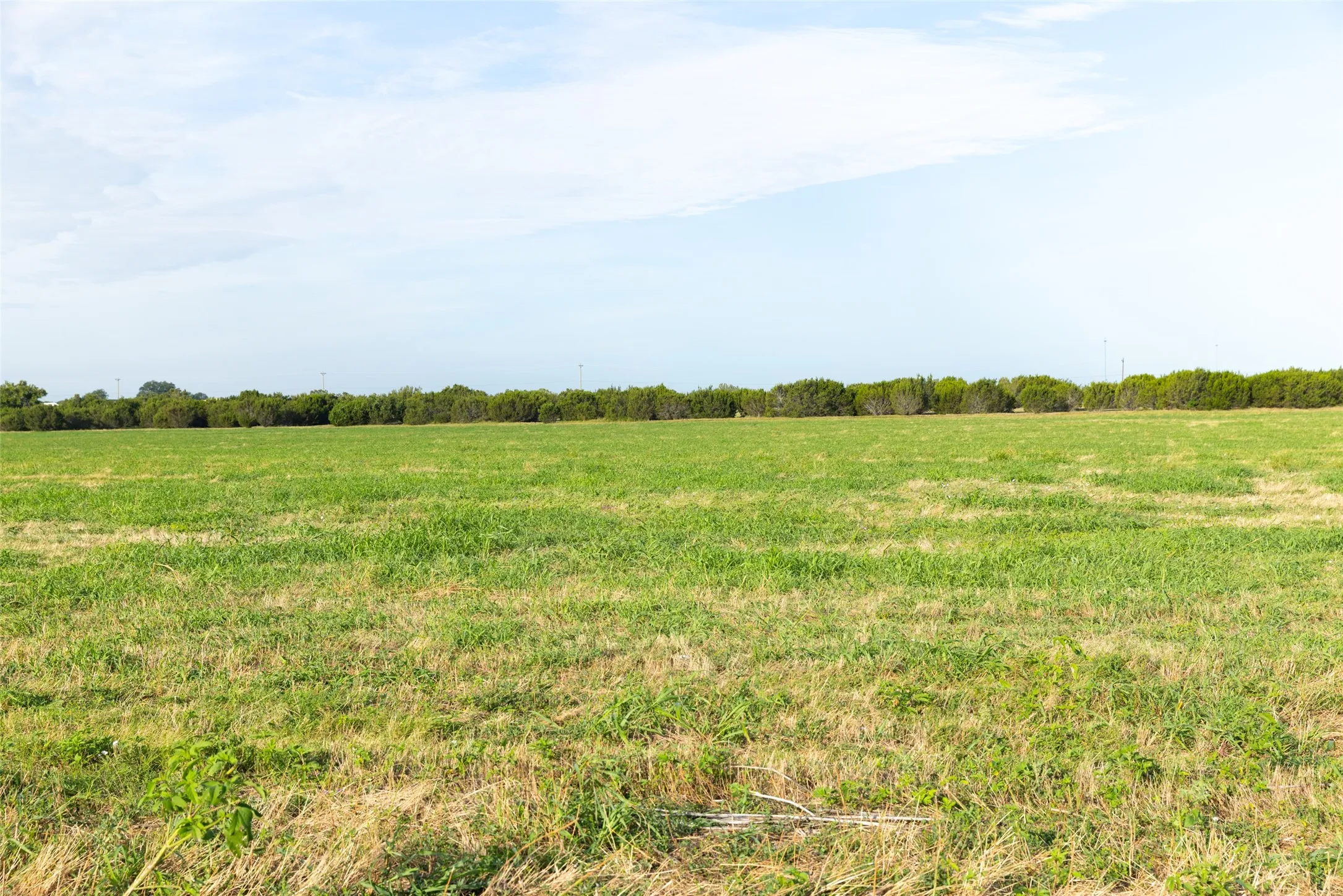 Improved Land For Sale in Erath County , TBD 7 SH 220, Stephenville, Texas 76401, 0, 0, Garage spaces, 0 Sqft, built in 0, Price $206,100, mls#21334579, Real Estate Agent in Stephenville, Homes For Sale in Erath county, Homes For Sale in Stephenville, Realtor in Stephenville Texas, Real Estate Brokerage Independent Realty Texas, Luminita Cordes Realtor
