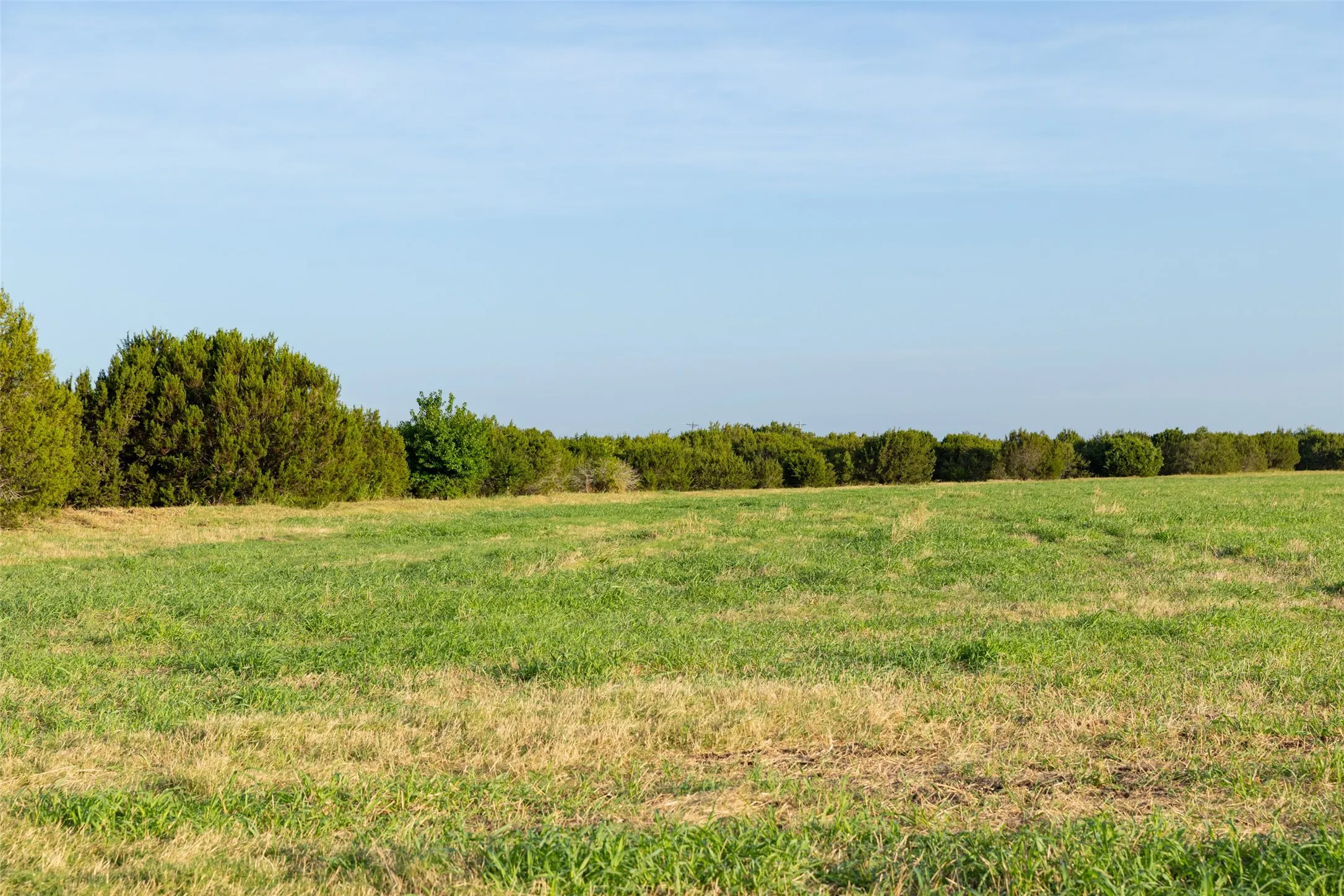 Improved Land For Sale in Erath County , TBD 7 SH 220, Stephenville, Texas 76401, 0, 0, Garage spaces, 0 Sqft, built in 0, Price $206,100, mls#21334579, Real Estate Agent in Stephenville, Homes For Sale in Erath county, Homes For Sale in Stephenville, Realtor in Stephenville Texas, Real Estate Brokerage Independent Realty Texas, Luminita Cordes Realtor