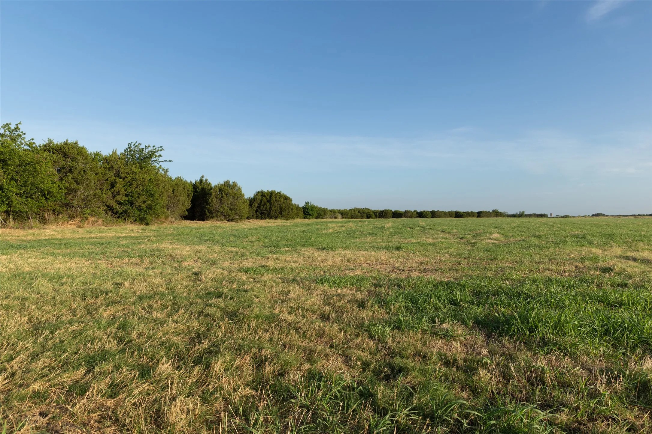 Improved Land For Sale in Erath County , TBD 8 CR 200, Stephenville, Texas 76401, 0, 0, Garage spaces, 0 Sqft, built in 0, Price $206,880, mls#21334566, Real Estate Agent in Stephenville, Homes For Sale in Erath county, Homes For Sale in Stephenville, Realtor in Stephenville Texas, Real Estate Brokerage Independent Realty Texas, Luminita Cordes Realtor